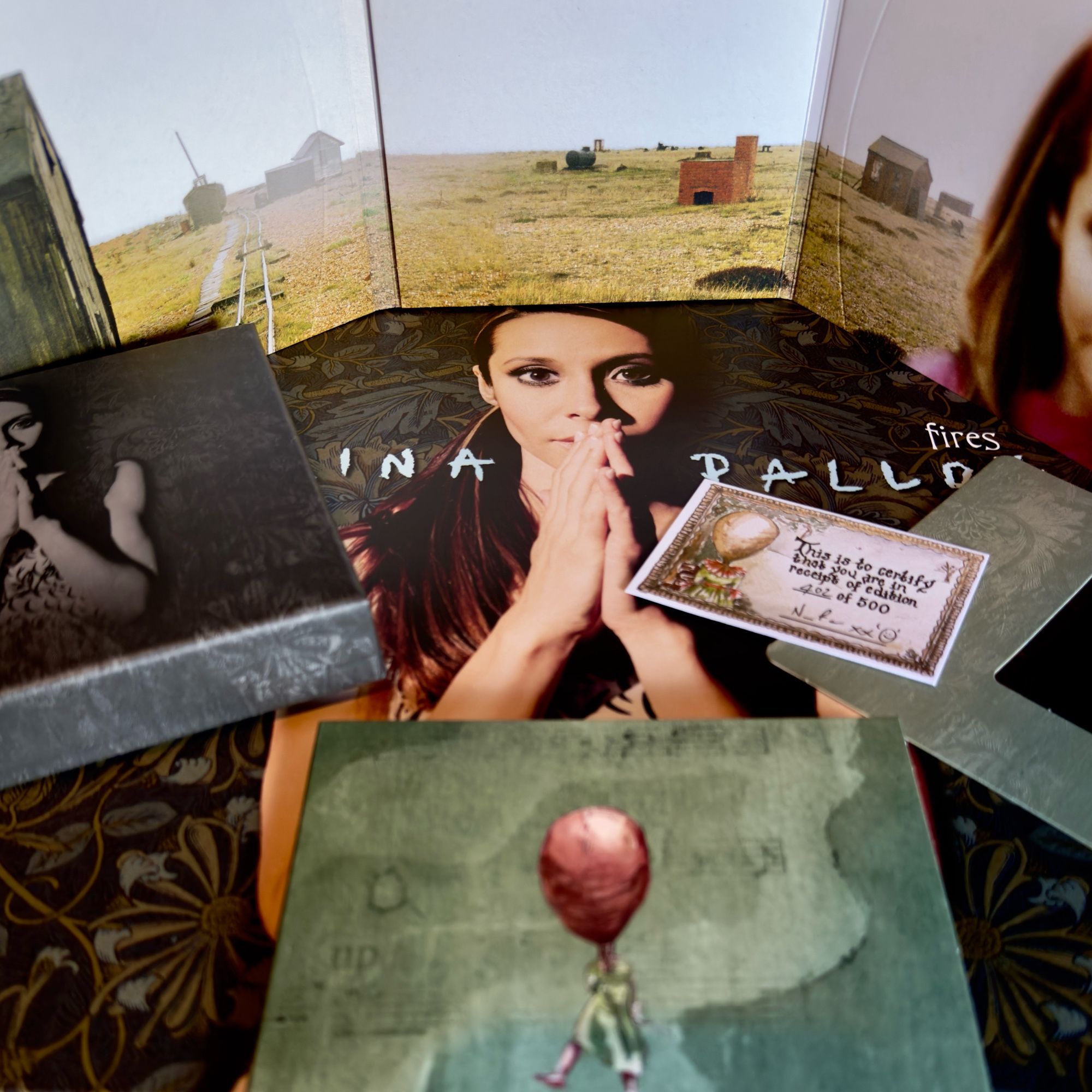 Rerelease of Nerina Pallot's 2006 album, Fires. Showing the limited edition CD set, and vinyl copies.