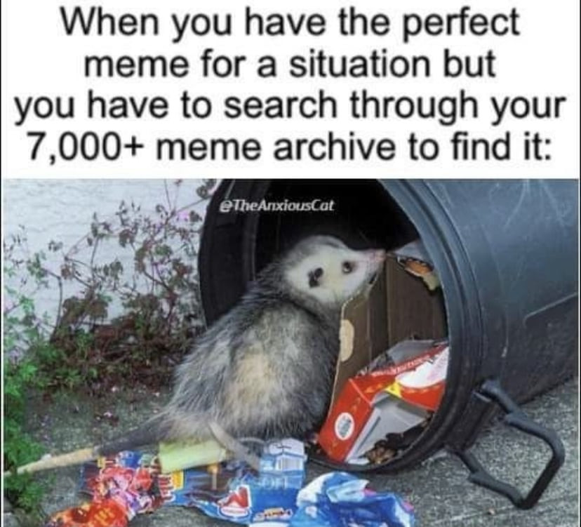 Text: When you have the perfect meme for a situation but you have to search through your 7000+ meme archive to find it: 
Image: An Opossum in a trash bin.