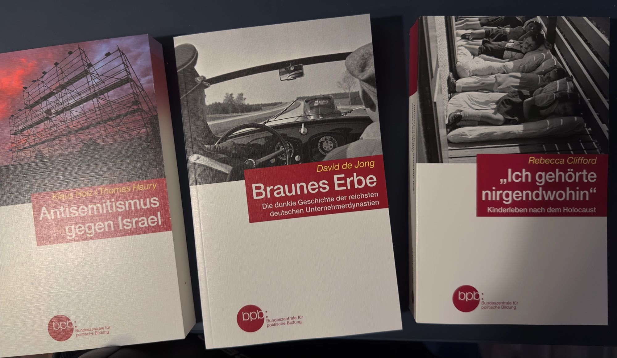 Das Bild zeigt die Bücher

- Antisemitismus gegen Israel 
- Braunes Erbe
- Ich gehörte nirgendwohin - Kinderleben nach dem Holocaust