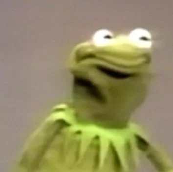 consternated kermit meme in poor quality photo