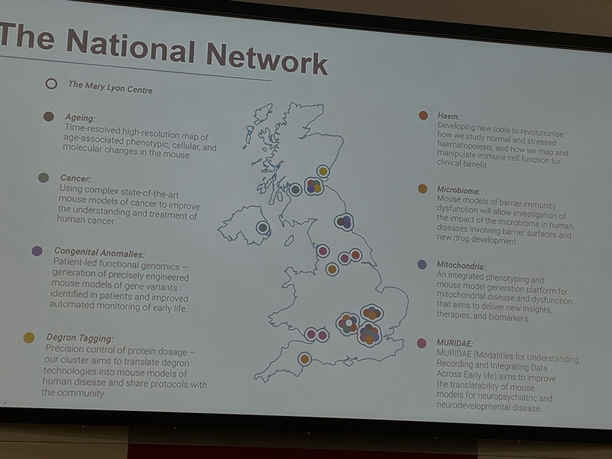 The network is spread across all four nations of the U.K. and split into research themes, which each are in multiple centres. This slide describes the themes and their locations. The themes are: Ageing (new! announced and welcomed into the network today), Cancer, Congenital Anomalies, Degron Tagging, Haem, Microbiome, Mitochondria and MURIDAE (early life). Locations include London Cambridge Oxford Edinburgh Glasgow Newcastle Belfast Cardiff (and more).