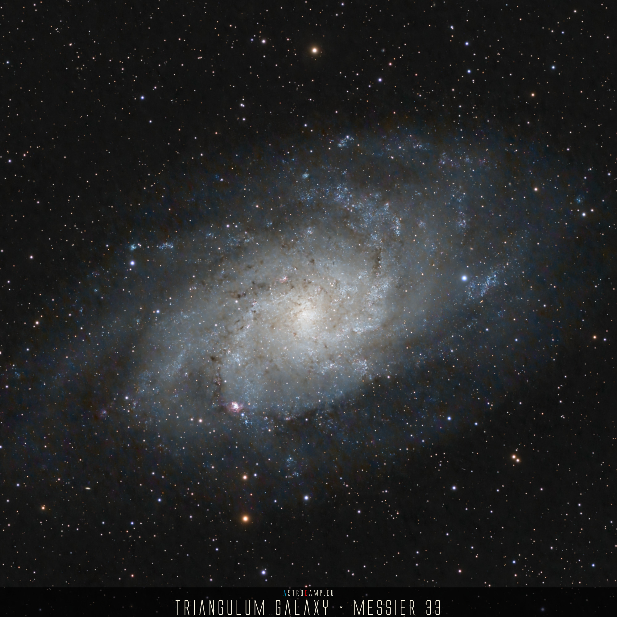 M33