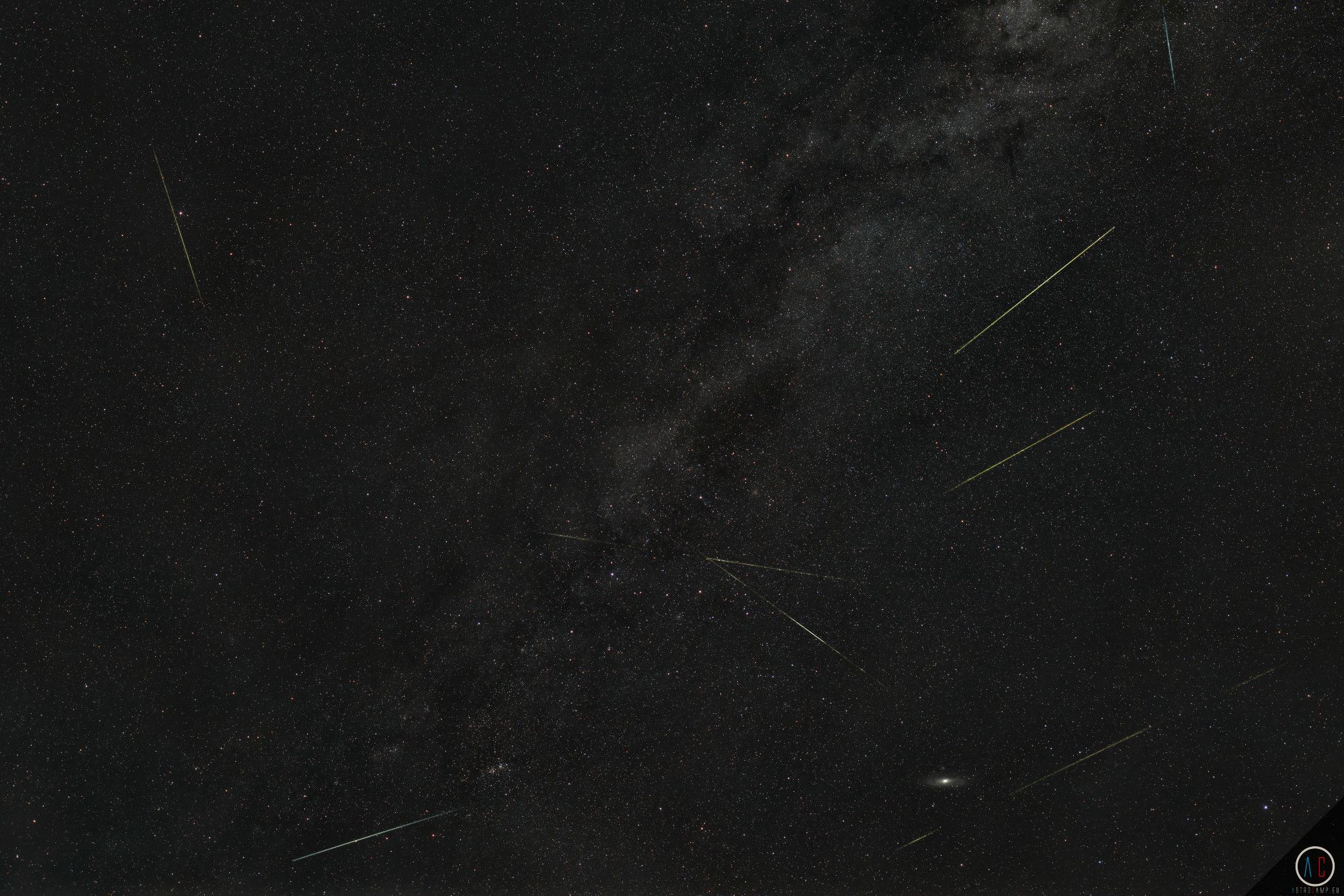 Perseids Collage