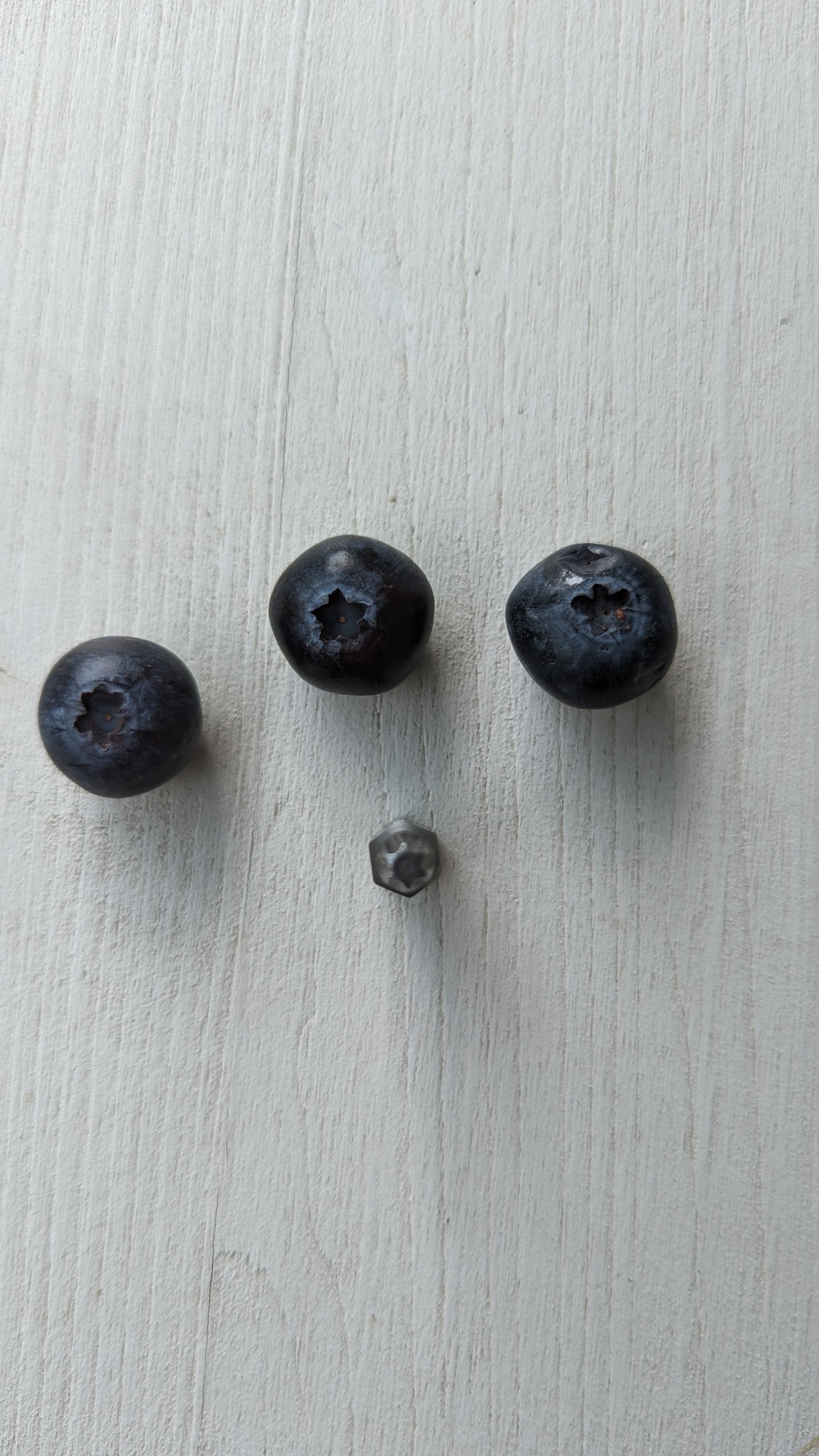 3 Blaubeeren mit einem torx 20 bit