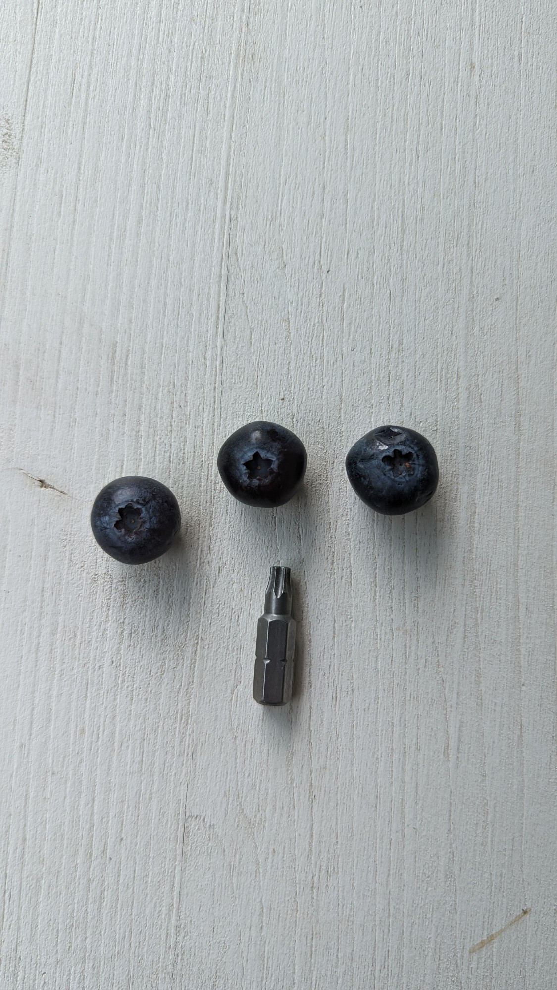 3 Blaubeeren mit einem torx 20 bit