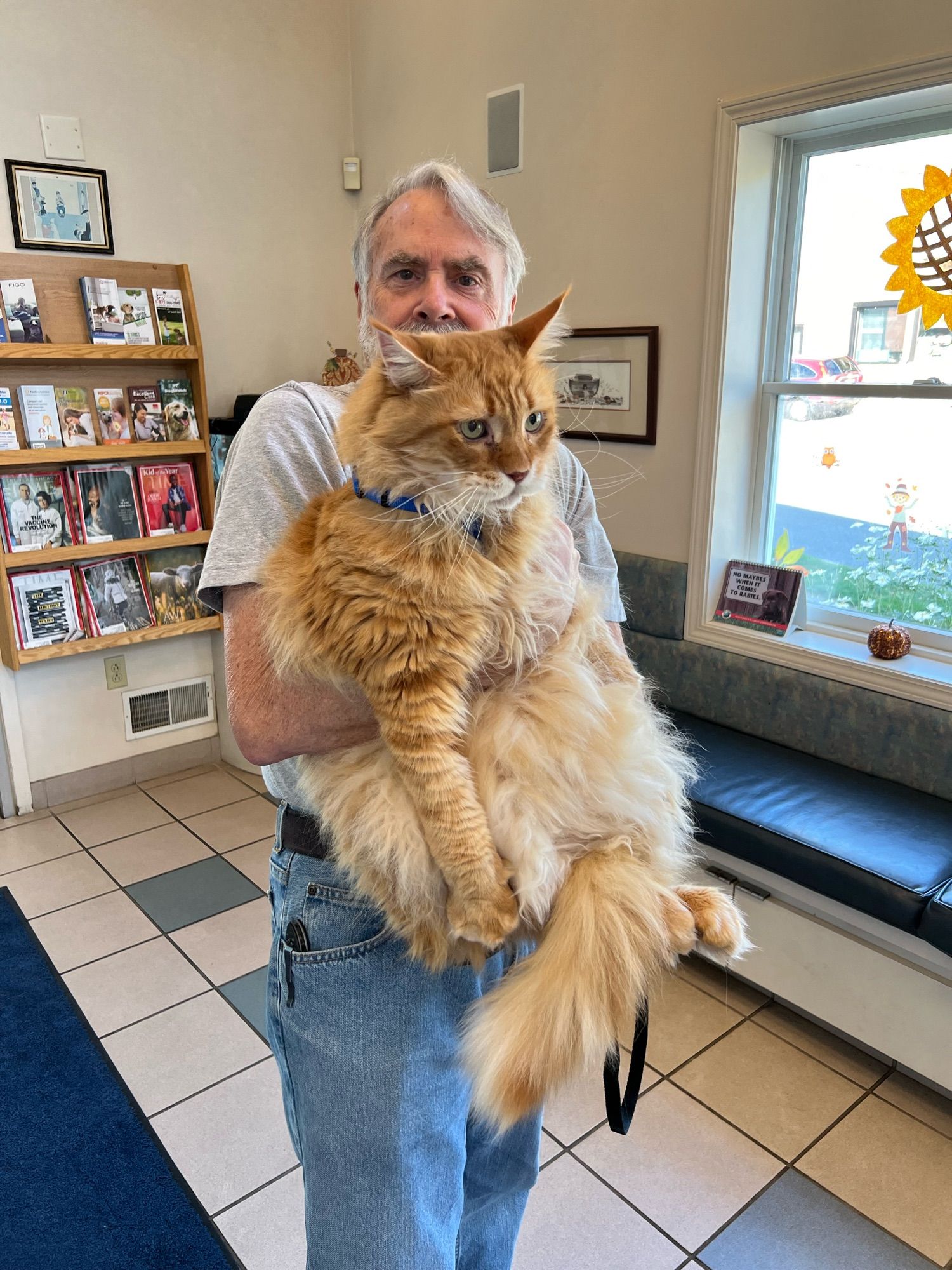 An older man holding an orange Maine Coon cat. The cat is closer to the size of a medium dog than a typical house cat