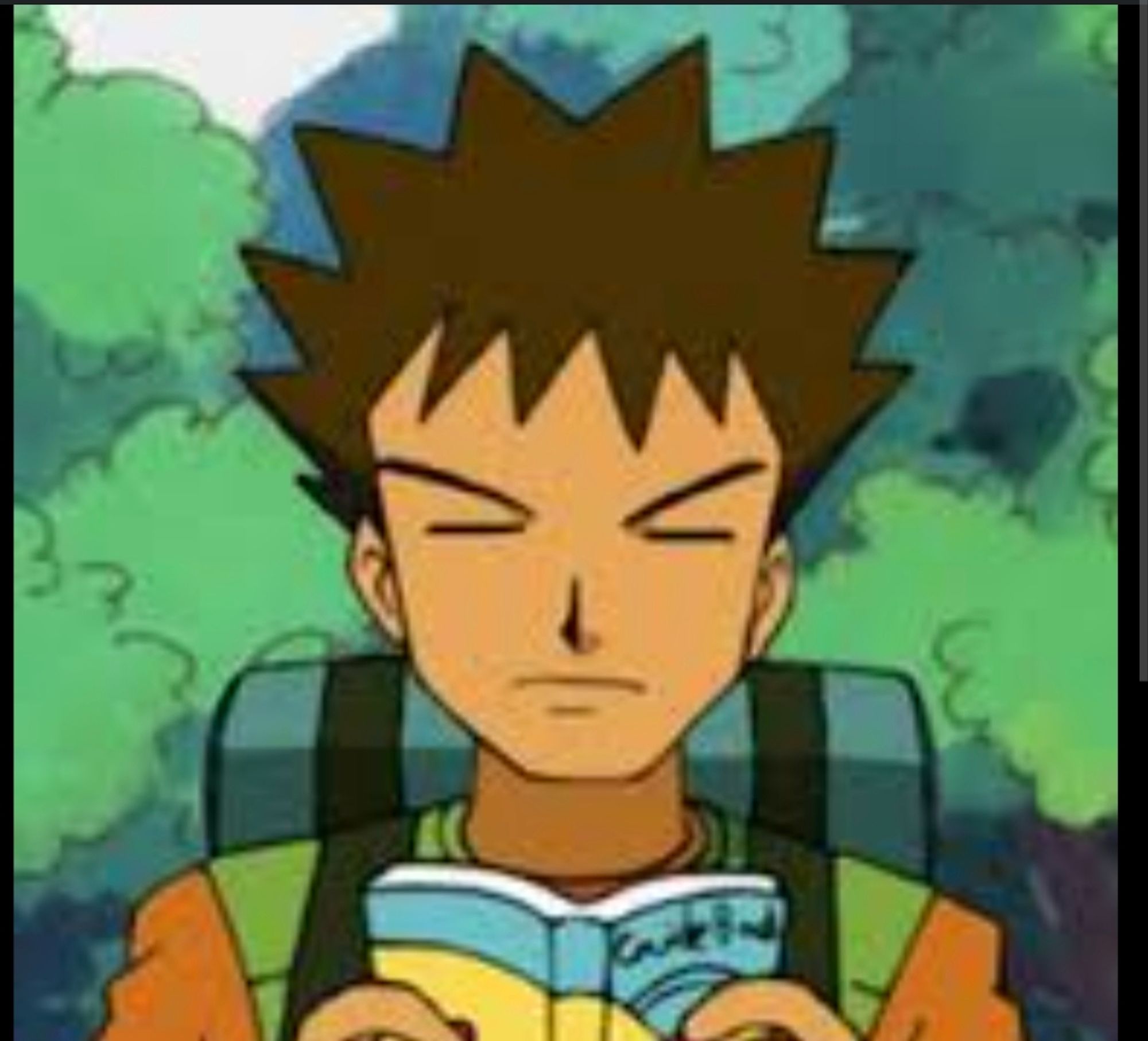 Brock from Pokemon