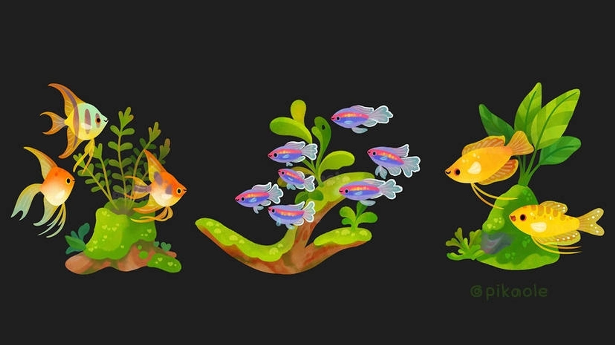 Cute drawings of angelfish, neon tetras, and gouramis next to aquarium wood and plant features.