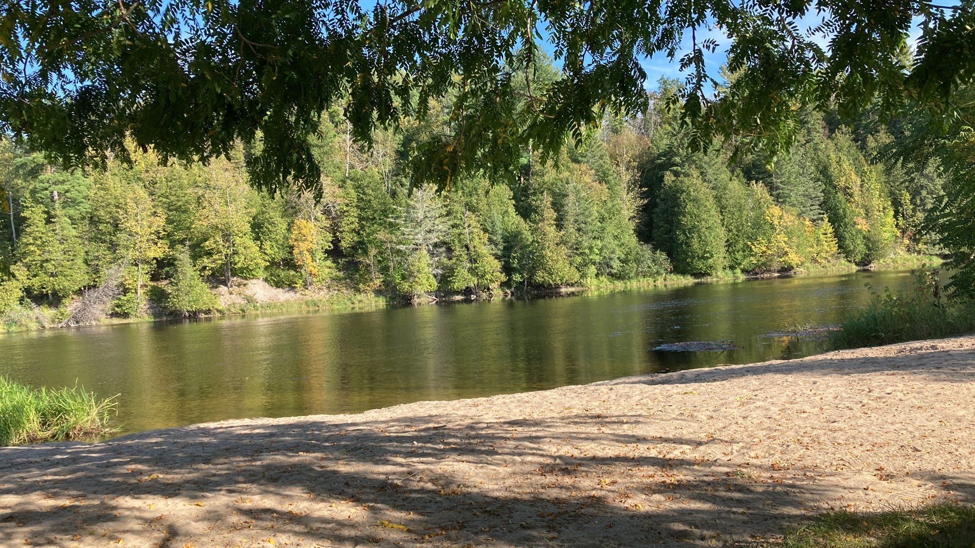 A tree lined river with a beach in the foreground.