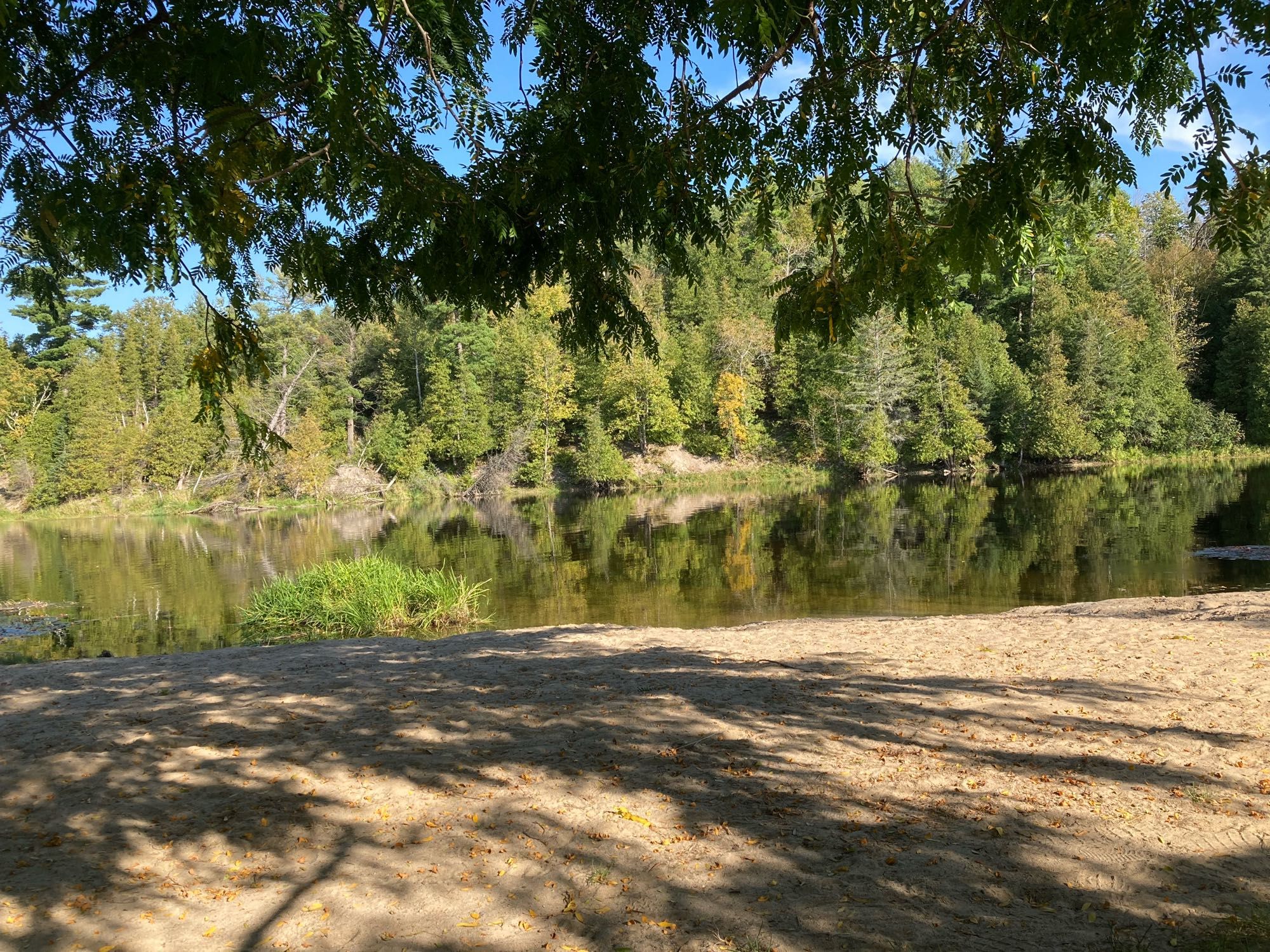 A green river with tree-lined banks  and blue sky beyond.