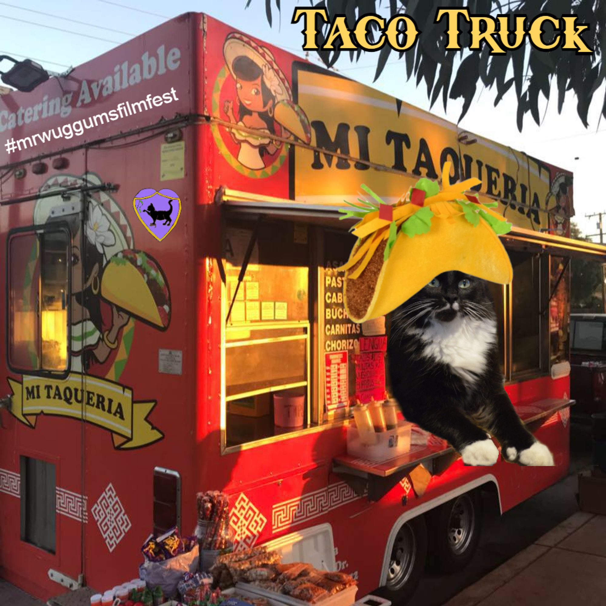 tuxedo cat with taco hat in the window of a bright red taco truck