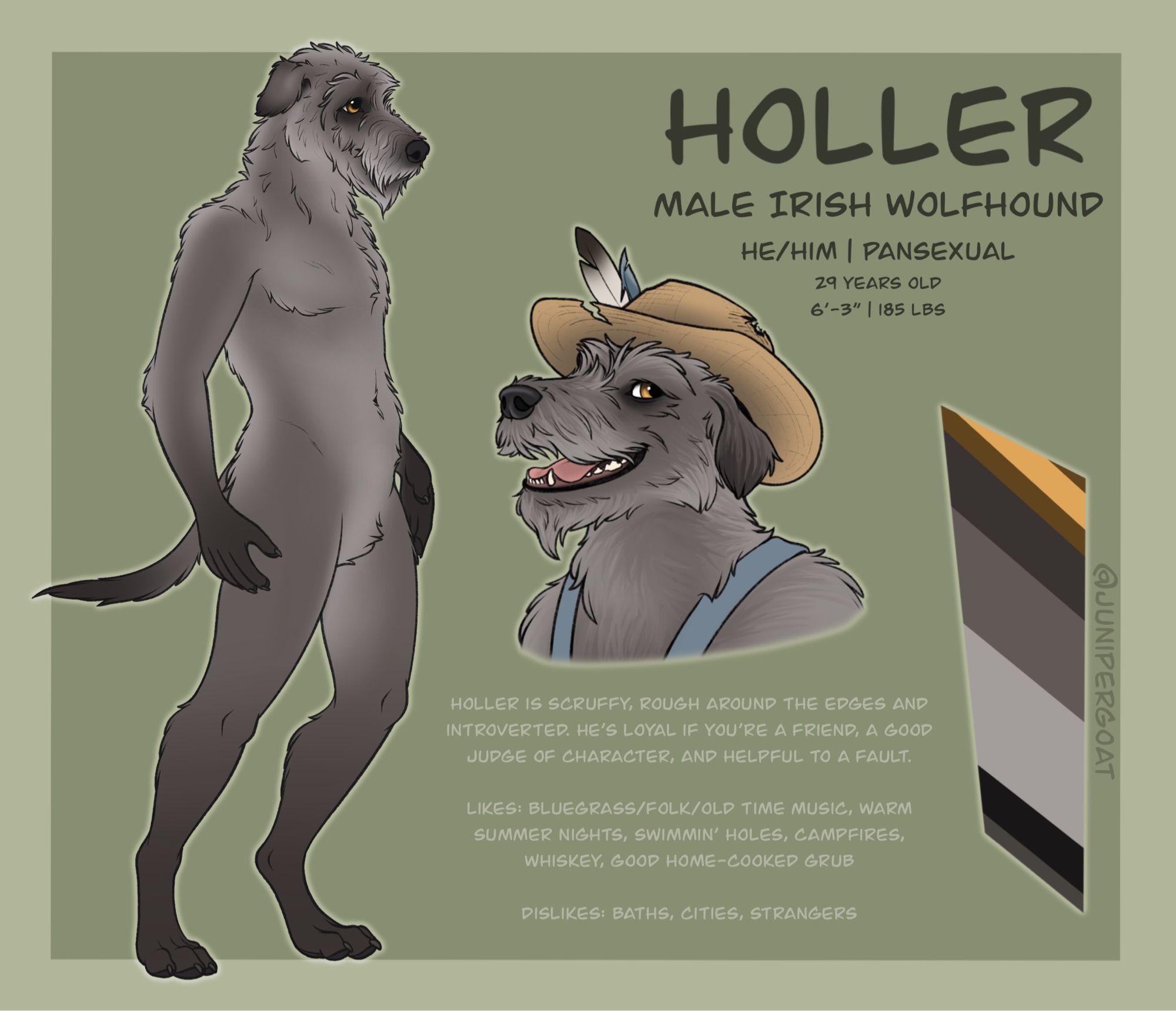 Holler the wolfhound reference sheet