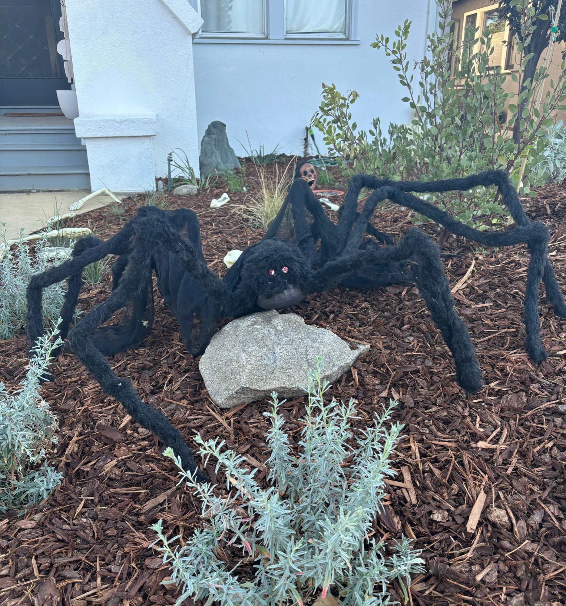 Giant-ass fake spider resting in a garden