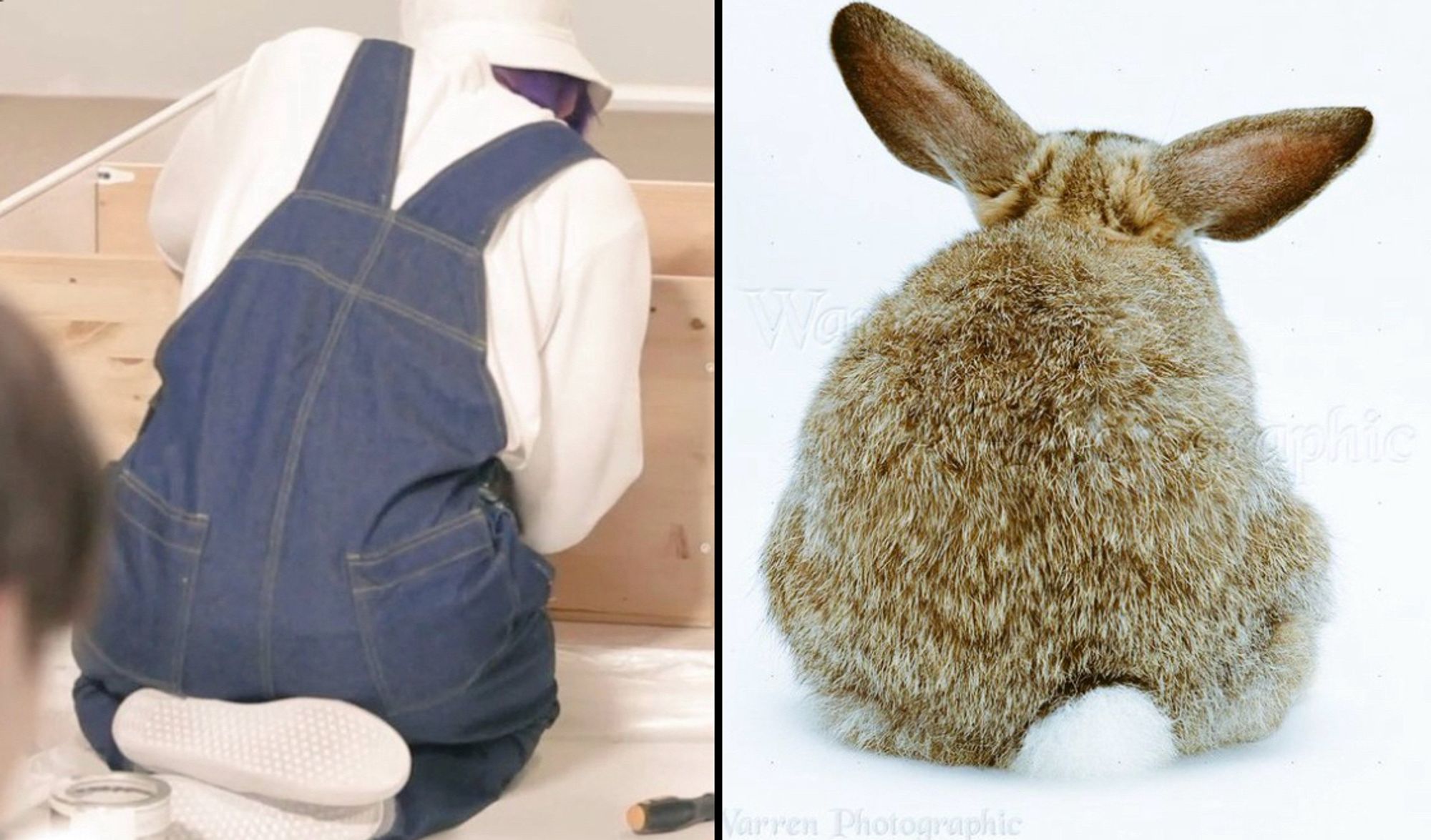 Side by side image showing Jungkook with his back to the camera sitting on his feet and a bunny with its back to the camera.