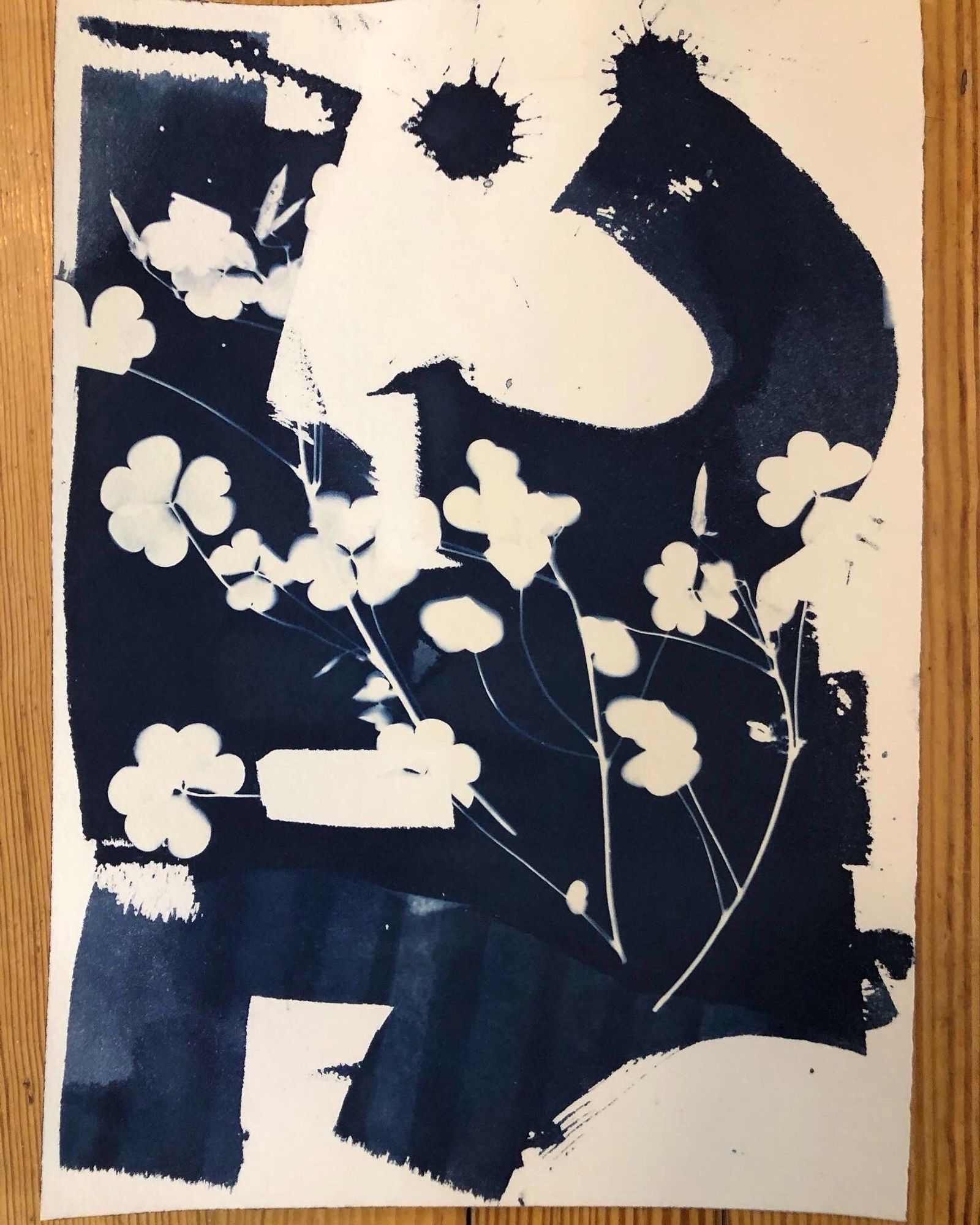 A picture of white flowers and leafy plants over dark blue brushstrokes on a white page