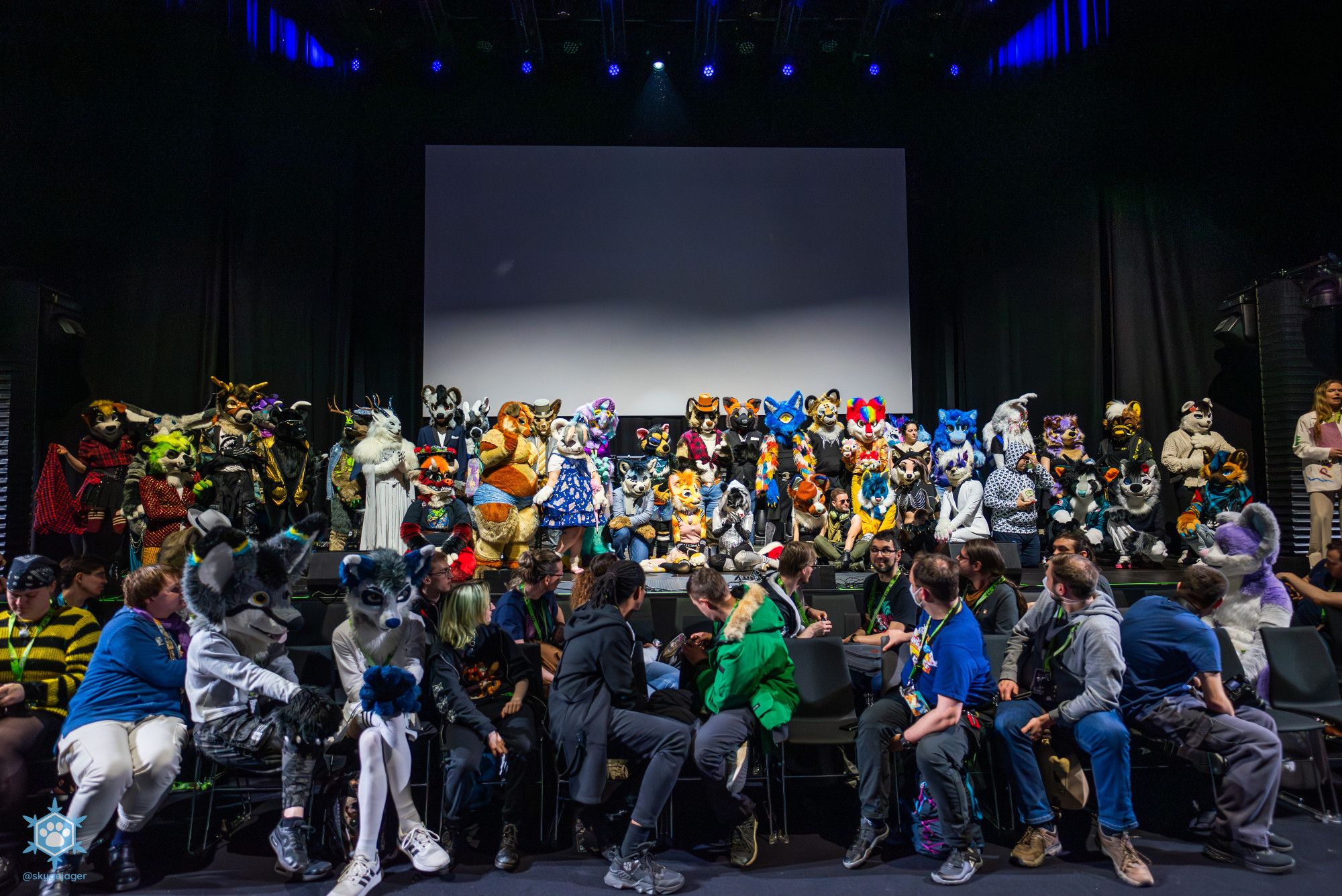 Fursuit group picture from the fursuit fashion show at nordicfuzzcon2024.