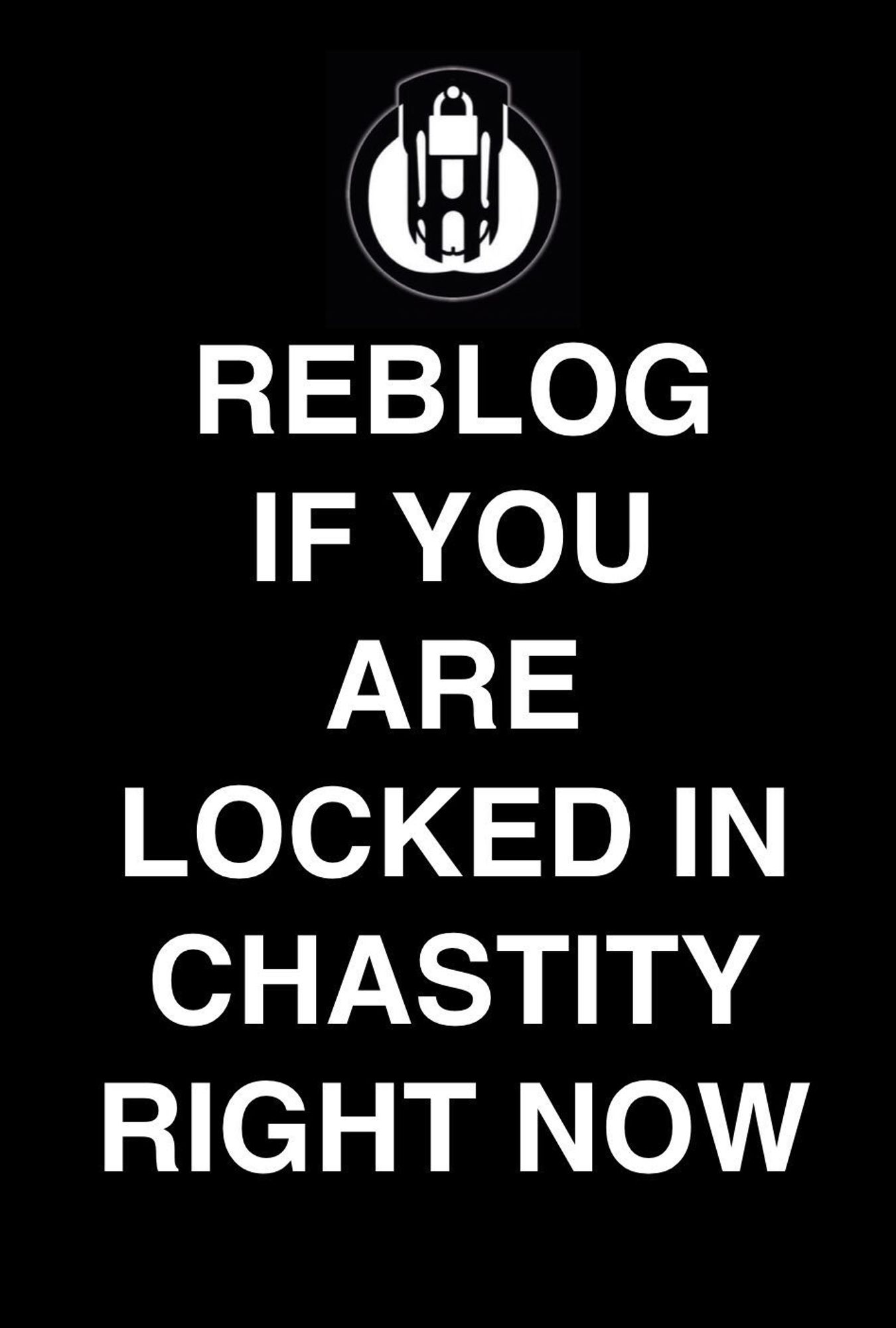 Graphic reads "Reblog if you are locked in chastity right now."