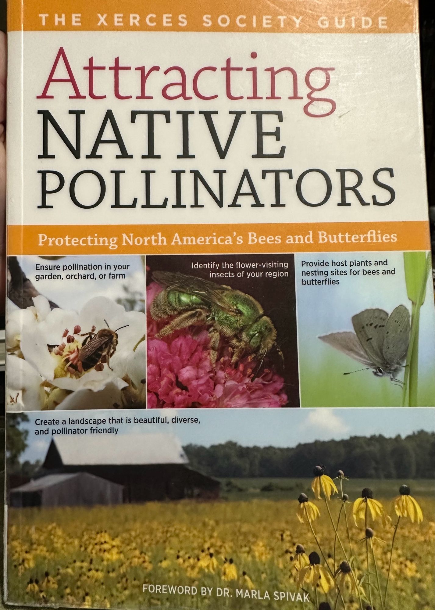 THE XERCES SOCIETY GUIDE
Attracting
NATIVE POLLINATORS
Protecting North America's Bees and Butterflies
Ensure pollination in your garden, orchard, or farm
Identify the flower-visiting insects of your region
Provide host plants and nesting sites for bees and butterflies
Create a landscape that is beautiful, diverse, and pollinator friendly
FOREWORD BY DR. MARLA SPIVAK