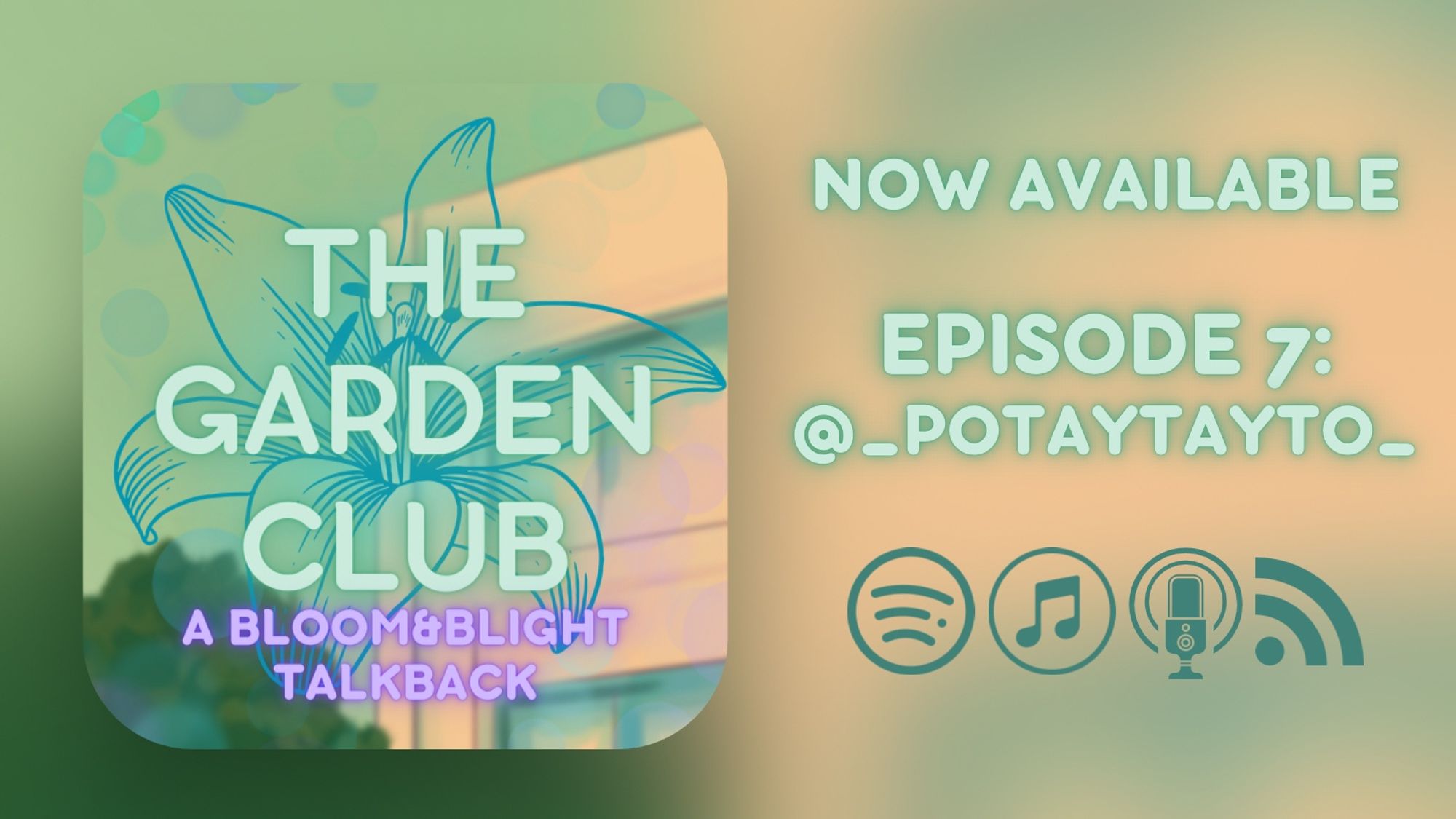 Release graphic for episode 7 of The Garden Club. A rounded square graphic sits inside of a wider graphic. Both are primarily green and yellow, with the wider background more out of focus. Text on the square reads
 “THE GARDEN CLUB 
A BLOOM&BLIGHT TALKBACK”
Text on top reads:
NOW AVAILABLE 
Text on bottom reads:
EPISODE 7:
 @_potaytayto_
Symbols for various podcast apps sit below.