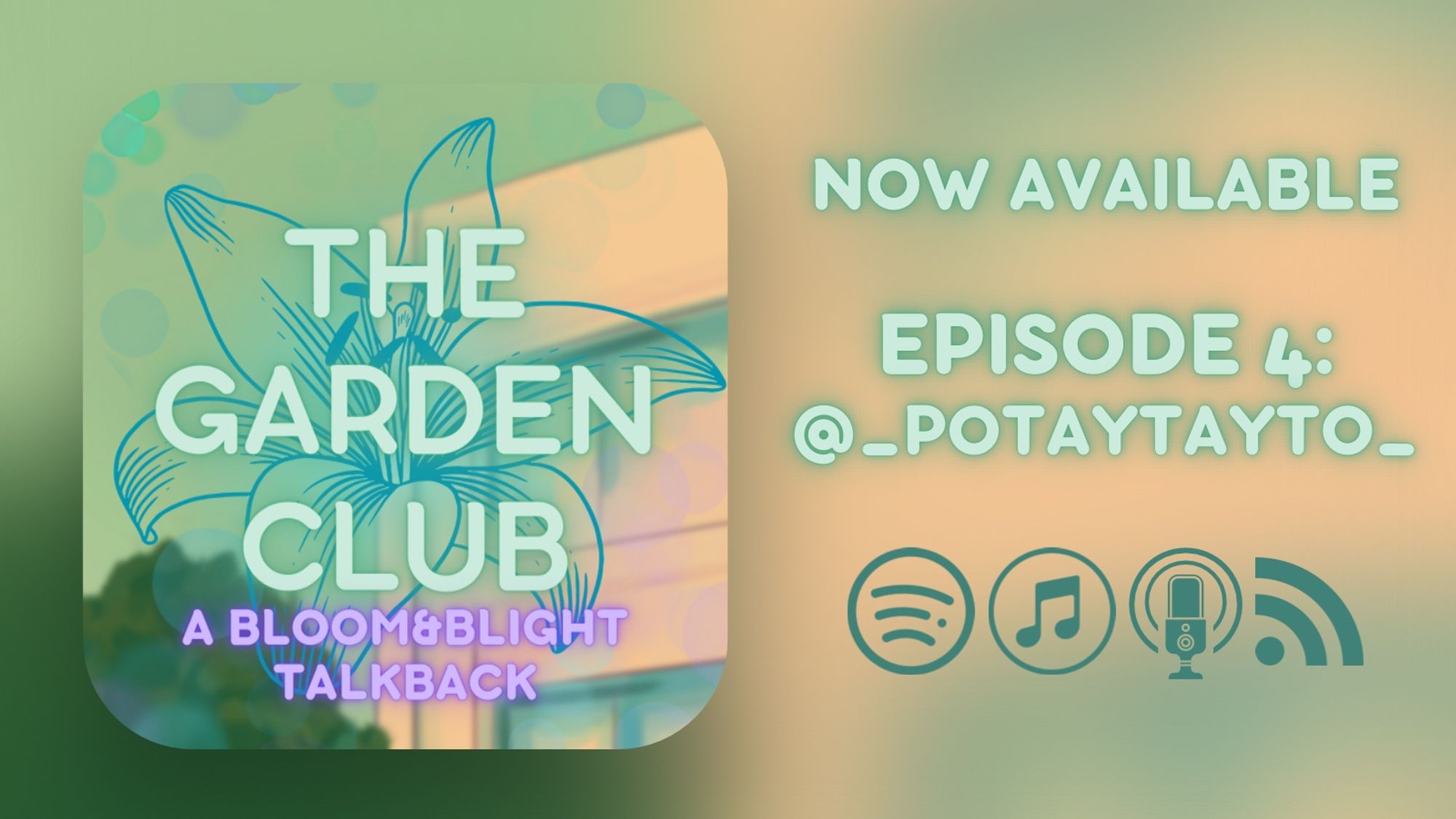 Release graphic for episode 4 of The Garden Club. A rounded square graphic sits inside of a wider graphic. Both are primarily green and yellow, with the wider background more out of focus. Text on the square reads
 “THE GARDEN CLUB 
A BLOOM&BLIGHT TALKBACK”
Text on top reads:
NOW AVAILABLE 
Text on bottom reads:
EPISODE 4:
 @_potaytayto_
Symbols for various podcast apps sit below.