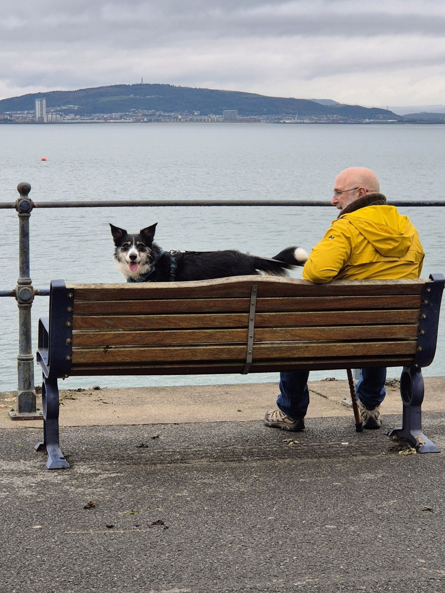 A small tri border collie and a man in a yellow jacket are on a bench by the sea. The collie is smiling a beautiful smile to camera.