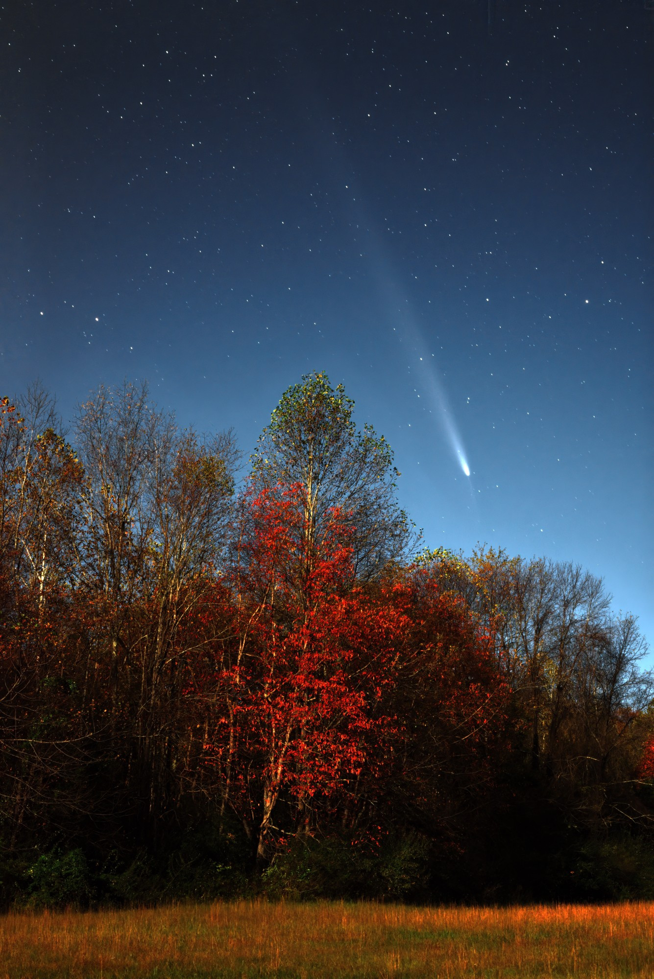 Comet C/2023 A3 (Tsuchinshan–ATLAS), southwest of Bloomington IN. 

34 x 8" image stack, light photoshop refinement. 