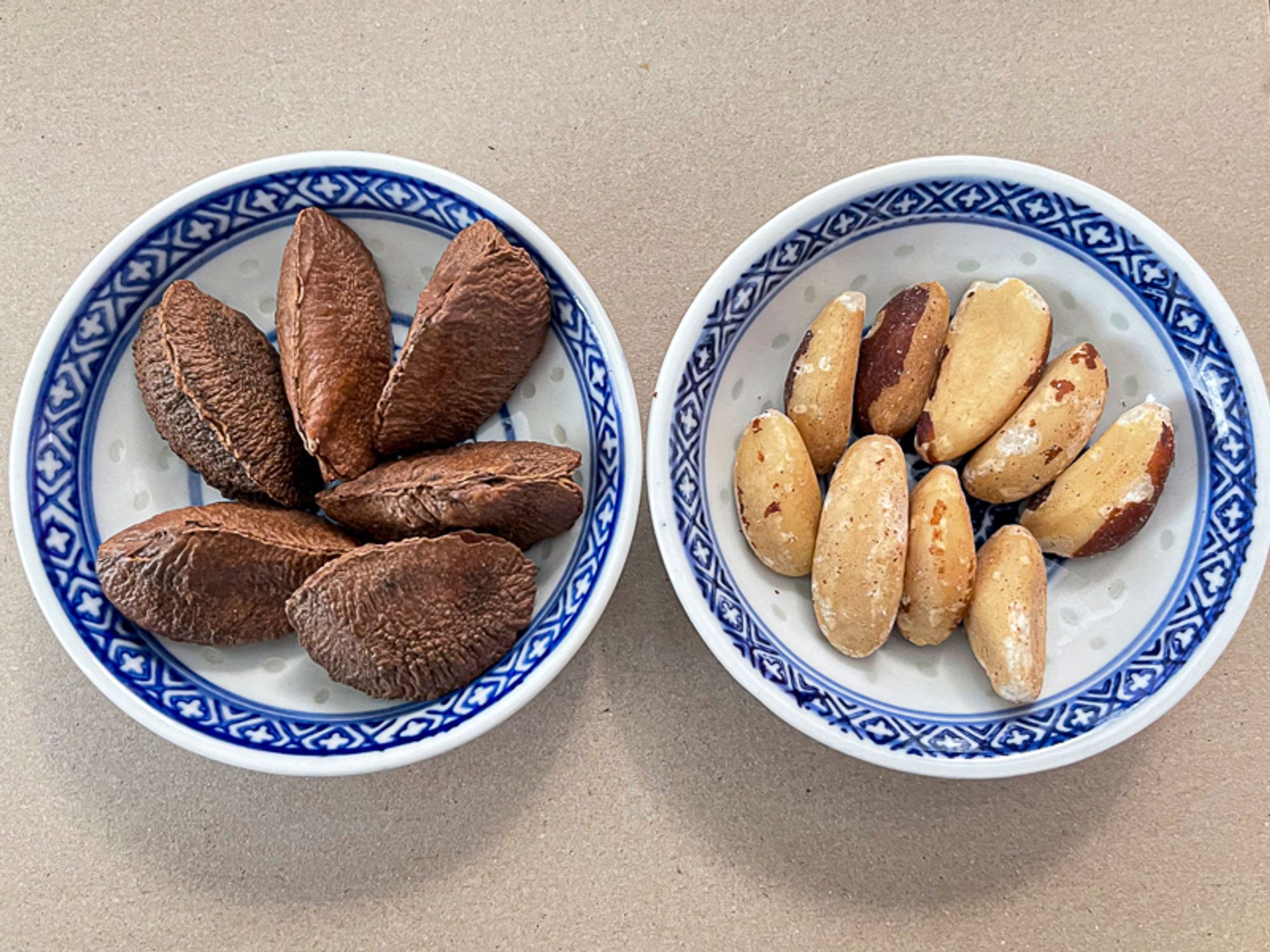 Two dishes of Brazil nuts, one with the nuts still in their hard shell, the other with the nuts prepared for consumption. Copyright Tom Kimmerer