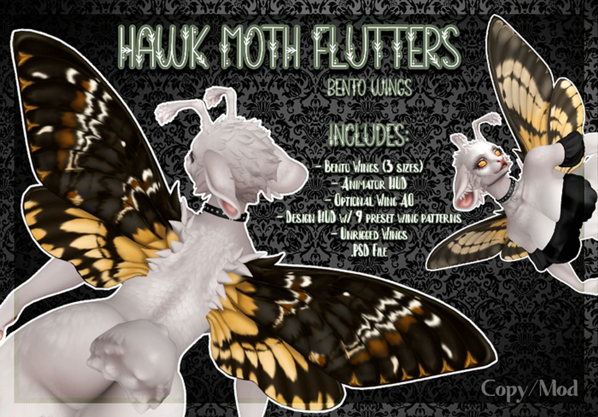 Picture showing this weeks giveaway prize - Hawk Moth wings.