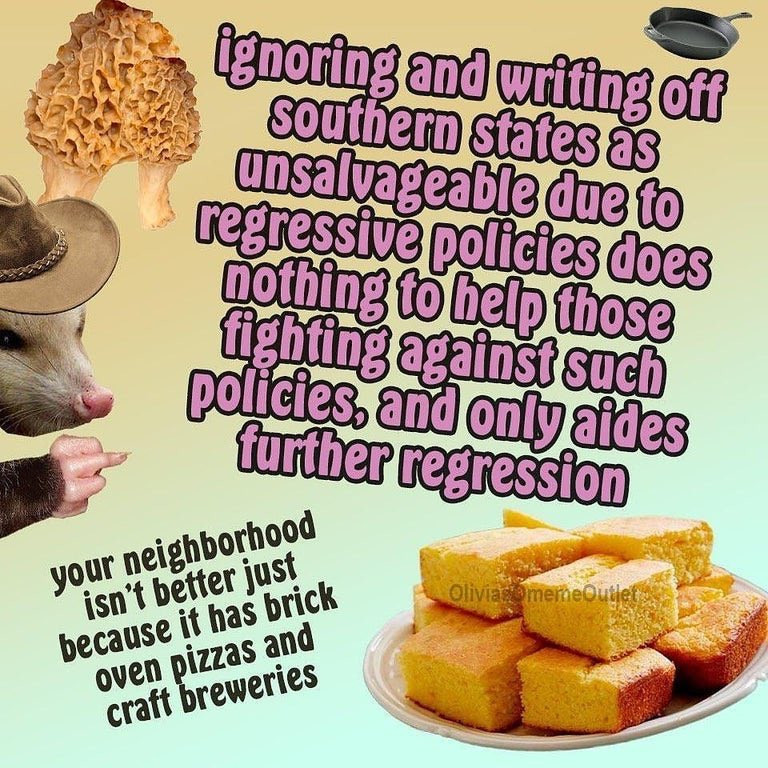 ignoring and writing off southern states as unsalvageable due to regressive policies does nothing to help those fighting against such policies and only aids further regression

your neighborhood isn’t better just because it has brick oven pizzas and craft breweries