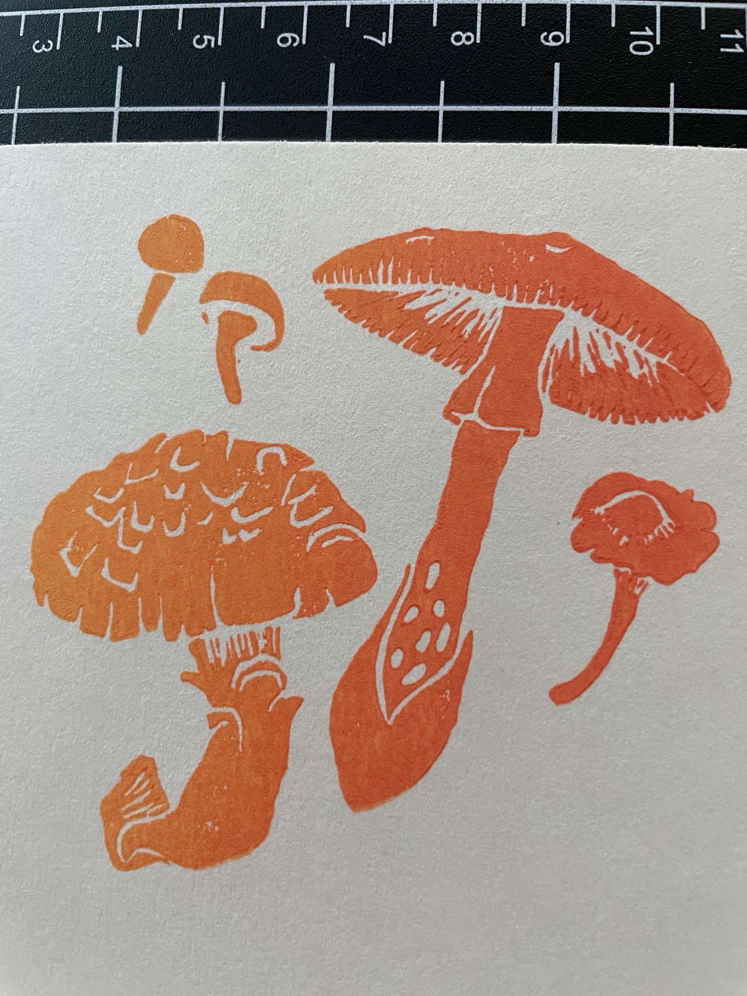 linocut print of mushrooms in orange ink