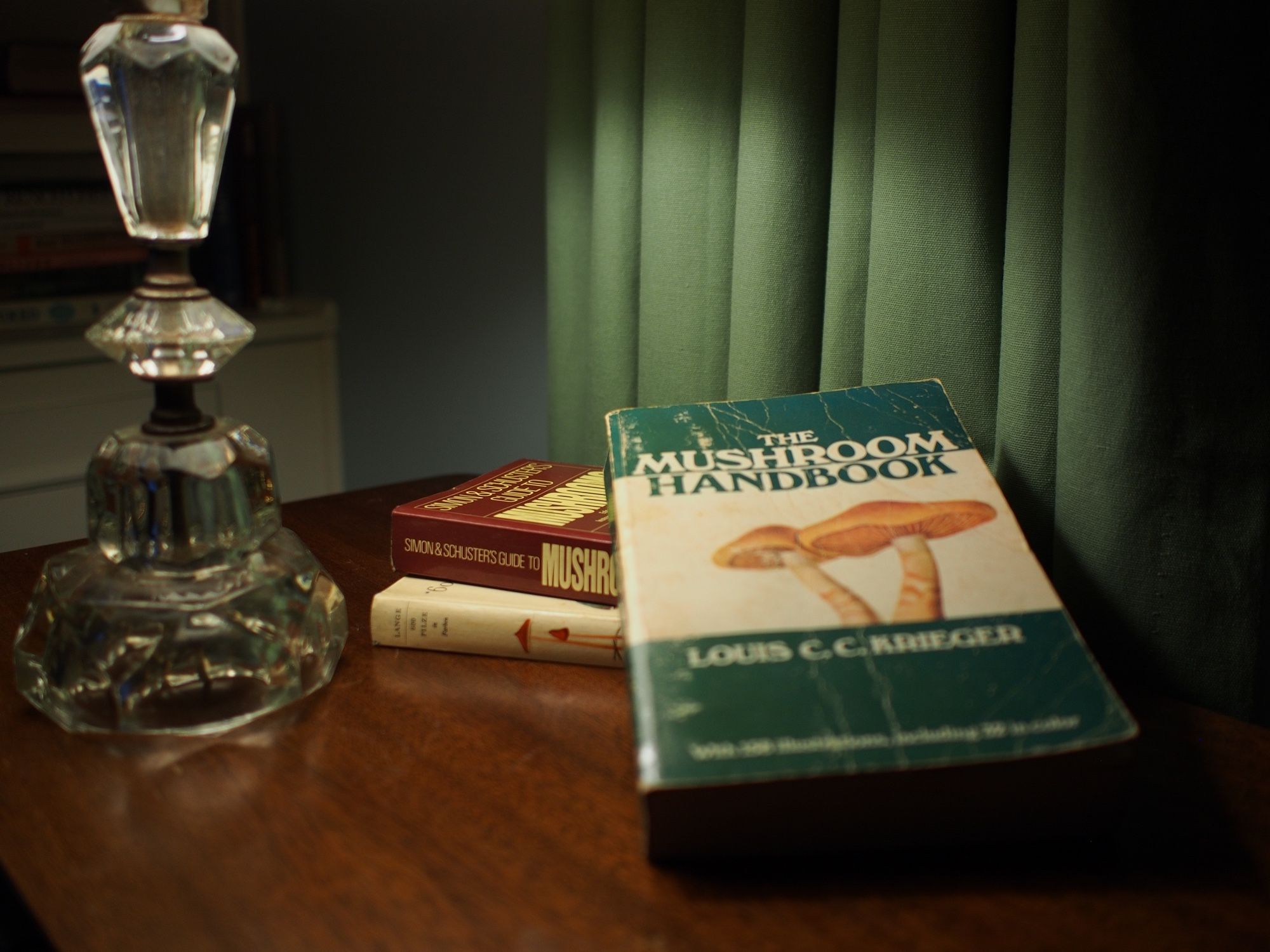 photograph of mushroom field guide books on an end table next to a crystal lamp in front of a green curtain with soft focus