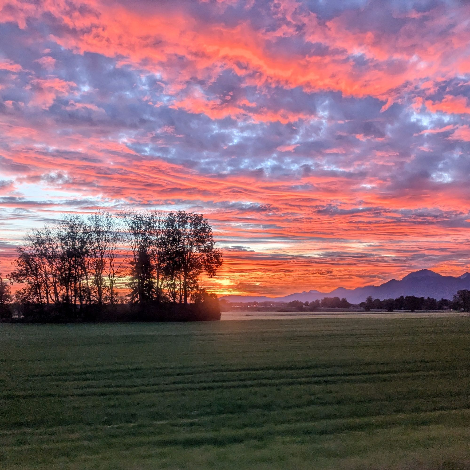 Spektakulärer Sonnenaufgang, im Vordergrund noch dunkel eine Wiese, links einige Bäume, im Hintergrund rechts Berge. Die Wolken werden von unten rot beschienen.