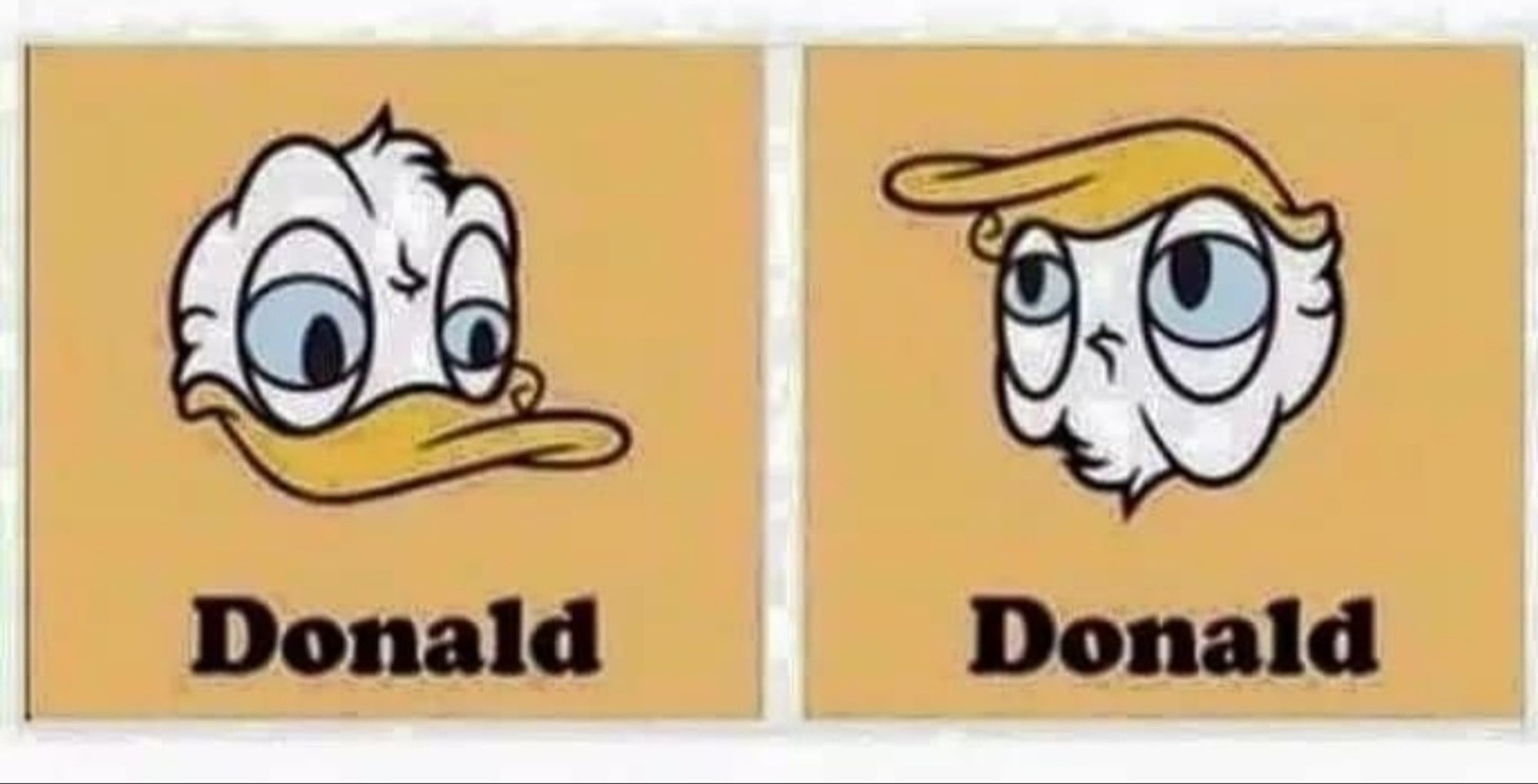 Zweimal der Kopf von Donald Duck, darunter steht jeweils "Donald". Der eine in richtiger Ausrichtung, der andere steht auf dem Kopf.