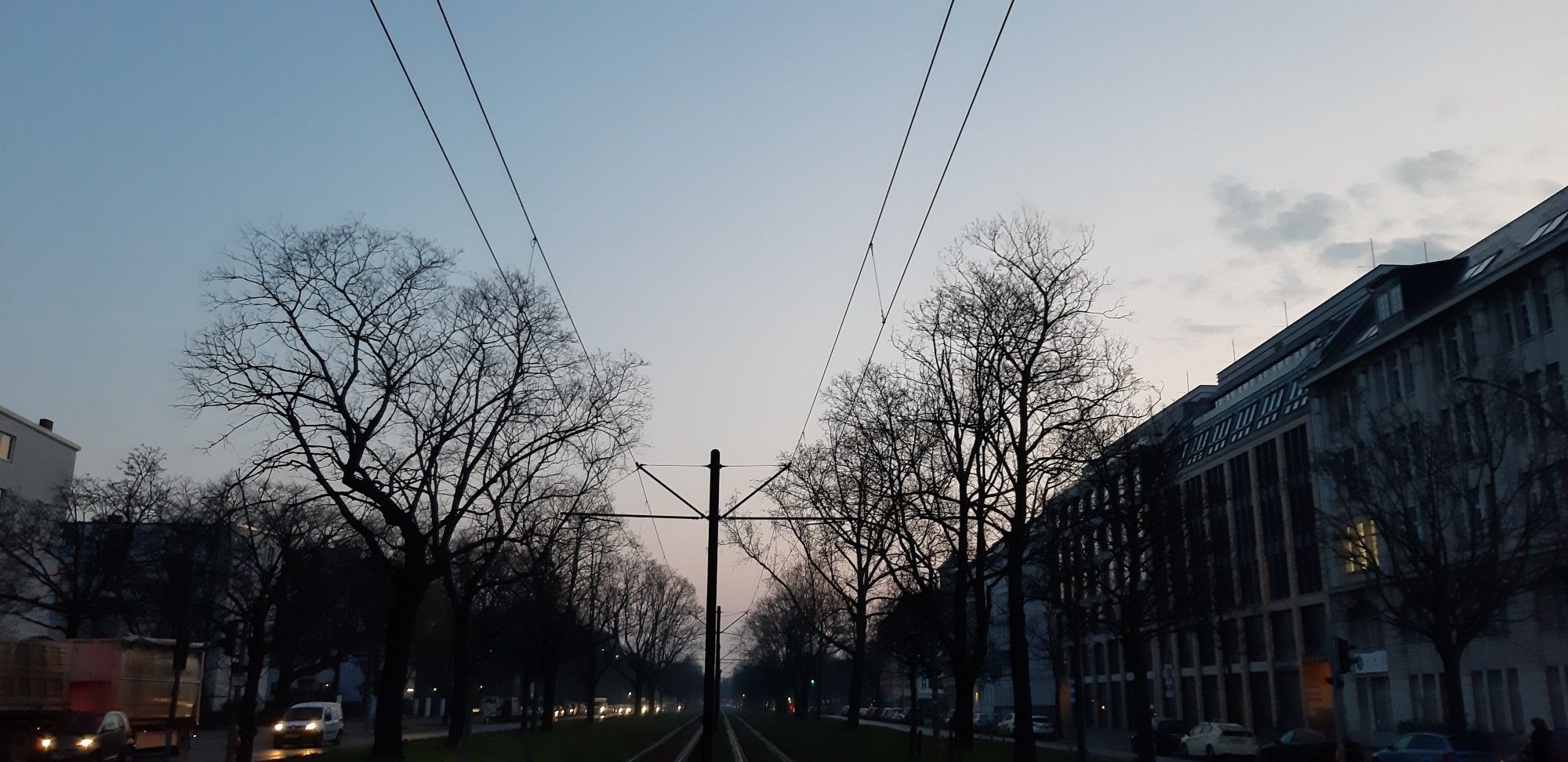 Tree-lined tram stracks in Seestrasse in the morning light.