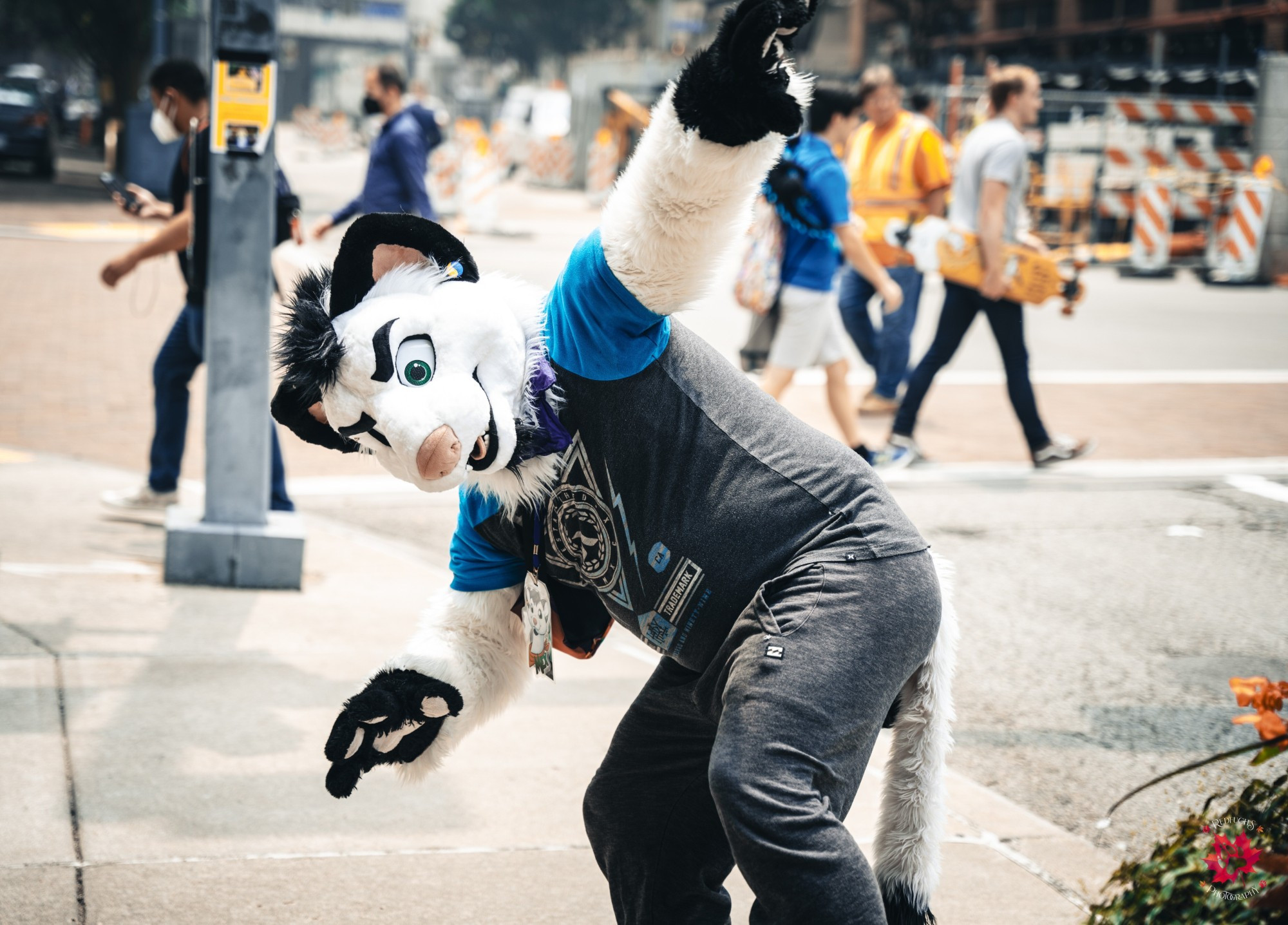 Photography of a fursuiter named Ibolt07