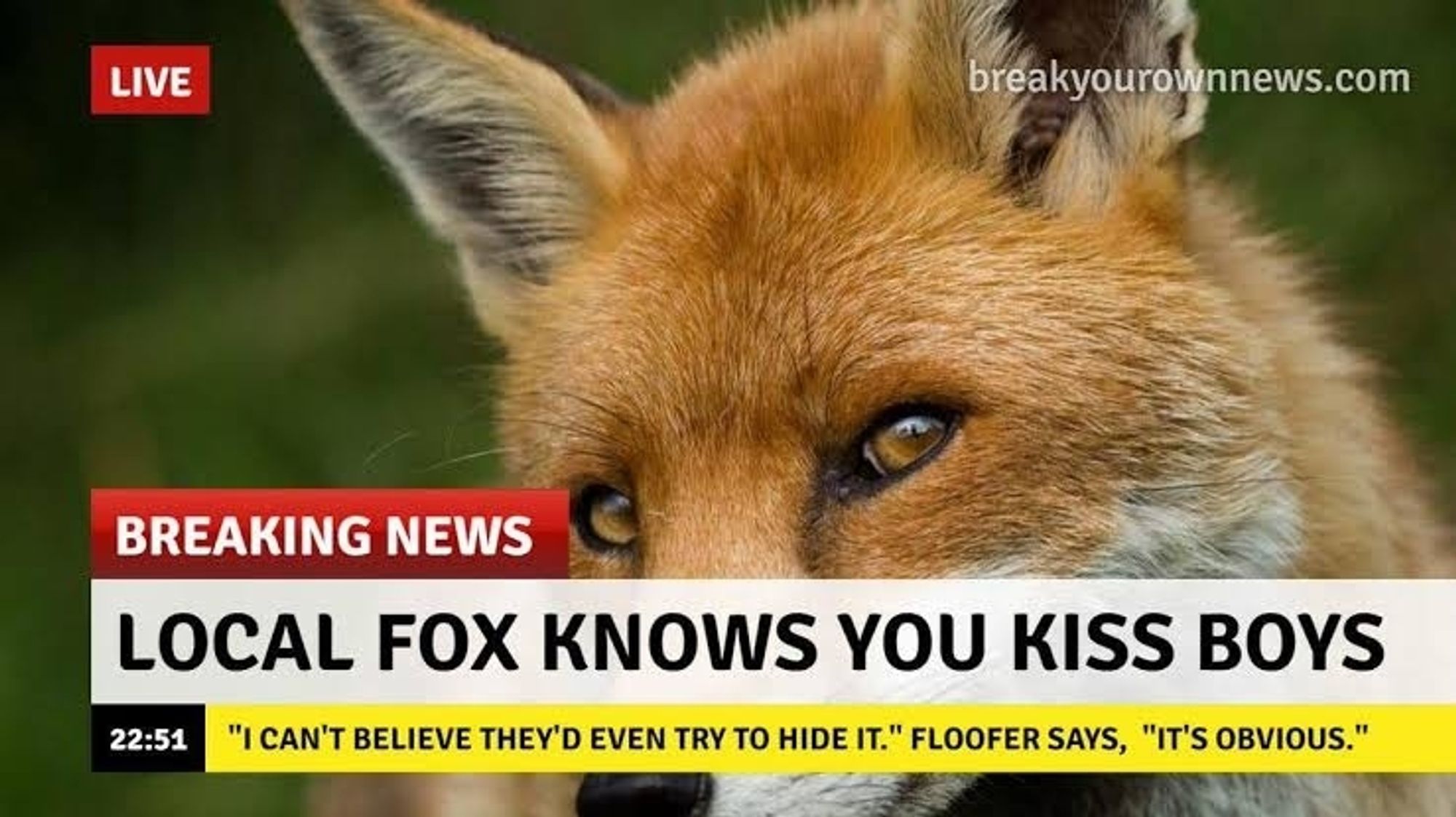 Image of a red fox with a caption: "BREAKING NEWS: Local fox knows you kiss boys. I can't believe they'd even try to hide it - Floofer says. "it's obvious"