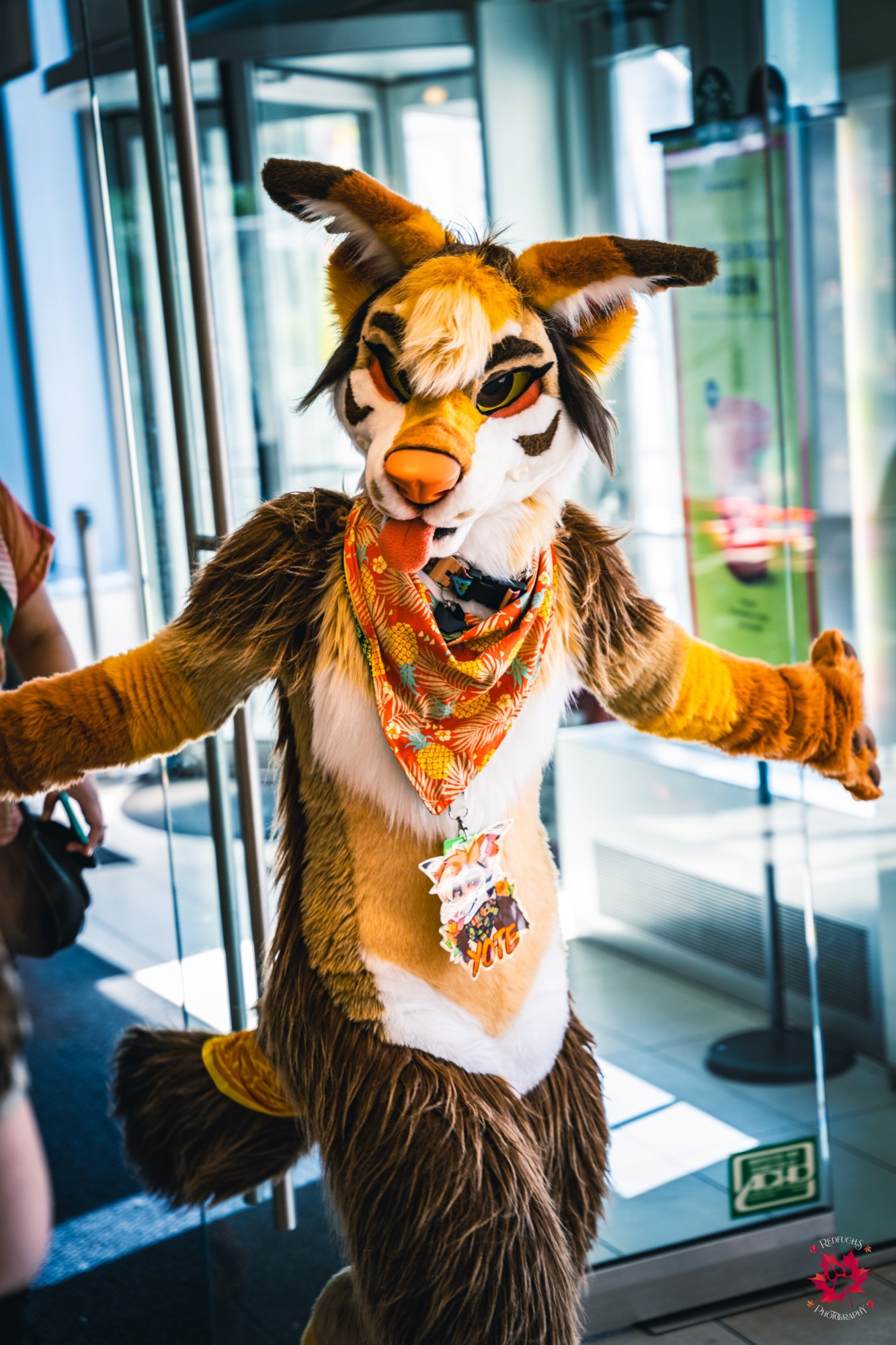 Photography of a fursuiter named Vintagecoyote