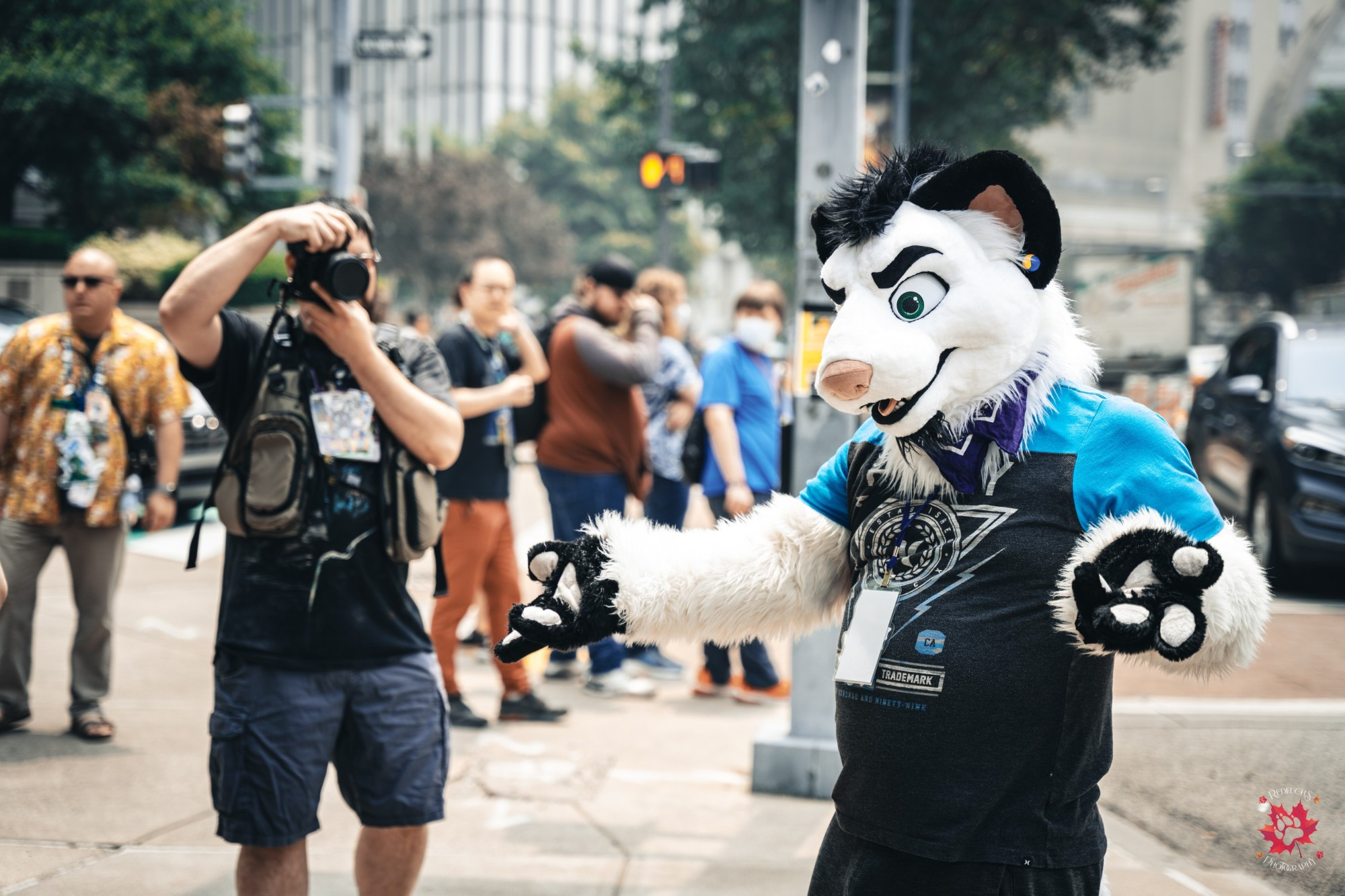 Photography of a fursuiter named Ibolt07