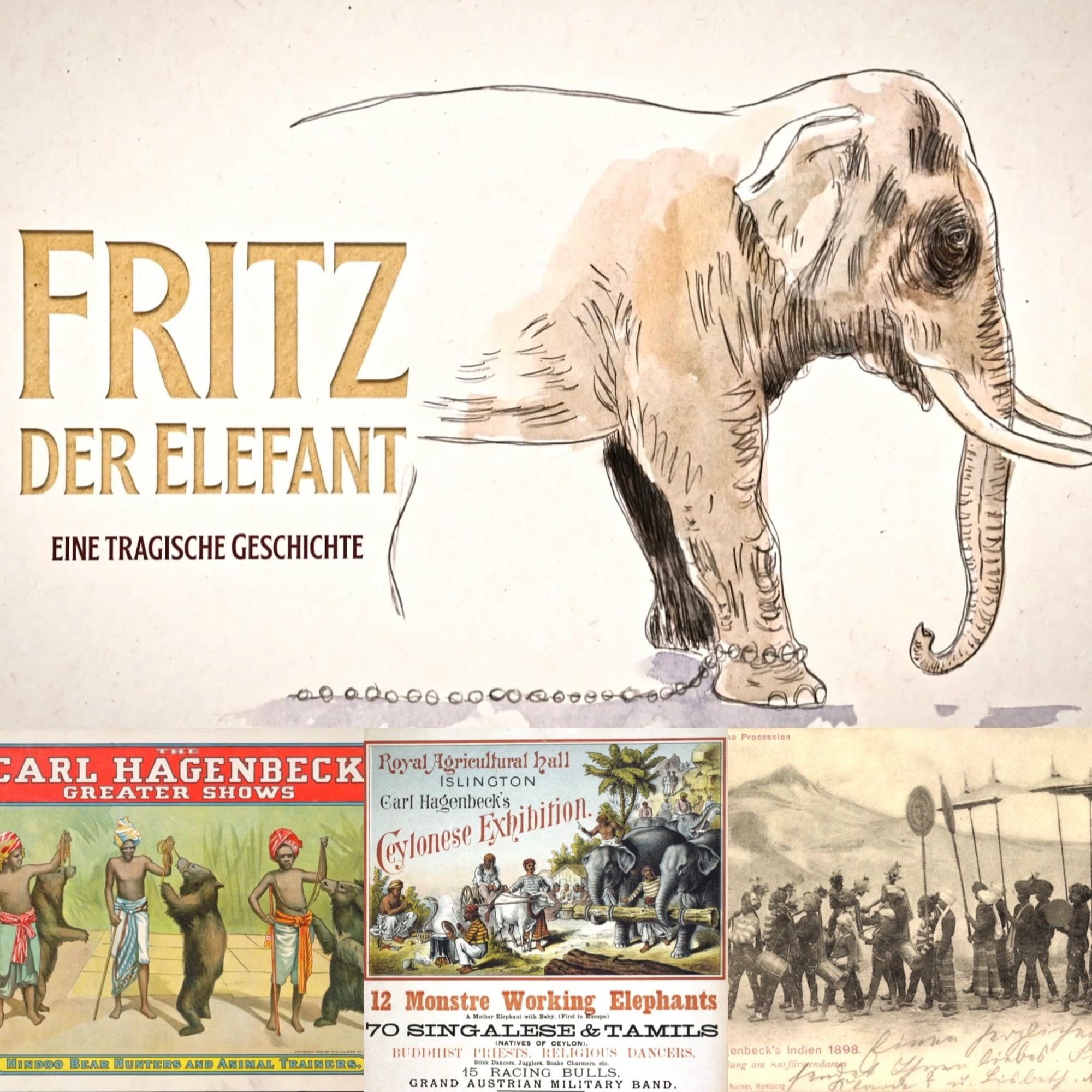 Ein illustriertes Bild mit dem Titel „Fritz der Elefant - Eine tragische Geschichte“ zeigt eine Skizze eines Elefanten mit einer Kette. Drumherum sind alte Plakate aus Carl Hagenbecks Shows zu sehen, die Elefanten und verschiedene Artisten in historischer Umgebung zeigen.