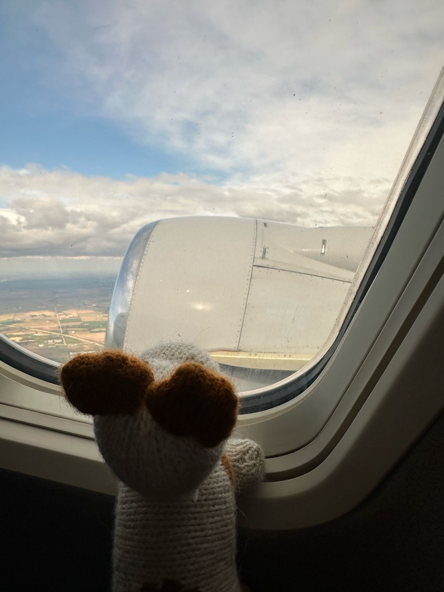 A small knit plush dog toy looks out the window of a plane at a cloudy sky and the landscape below