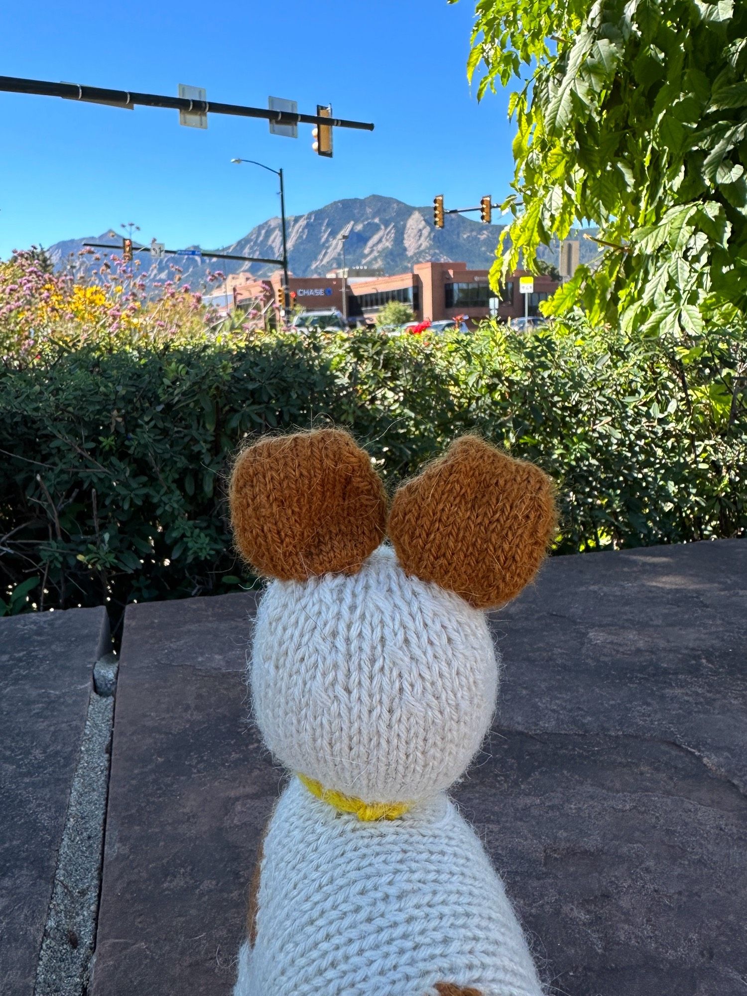 A brown and cream knit plush dog toy sits on a ledge looking toward the Flatiron Mountains visible in the distance