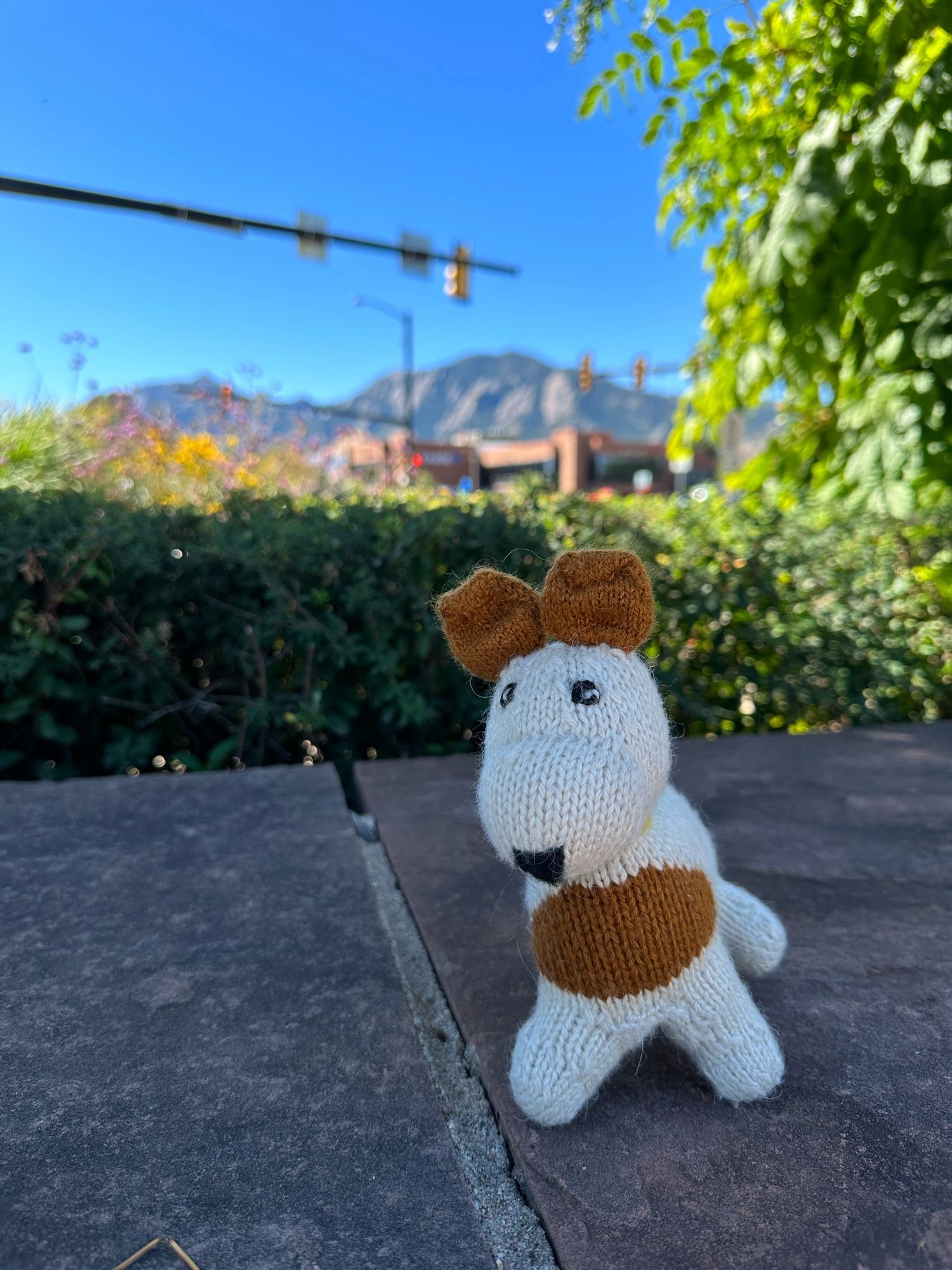 A brown and cream knit plush dog toy sits on a ledge with the Flatiron Mountains visible in the distance