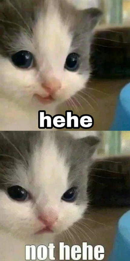 meme with two photos of the same cat, the top shows the cat looking happy and says "hehe", the bottom shows the cat looking angry and says "not hehe"