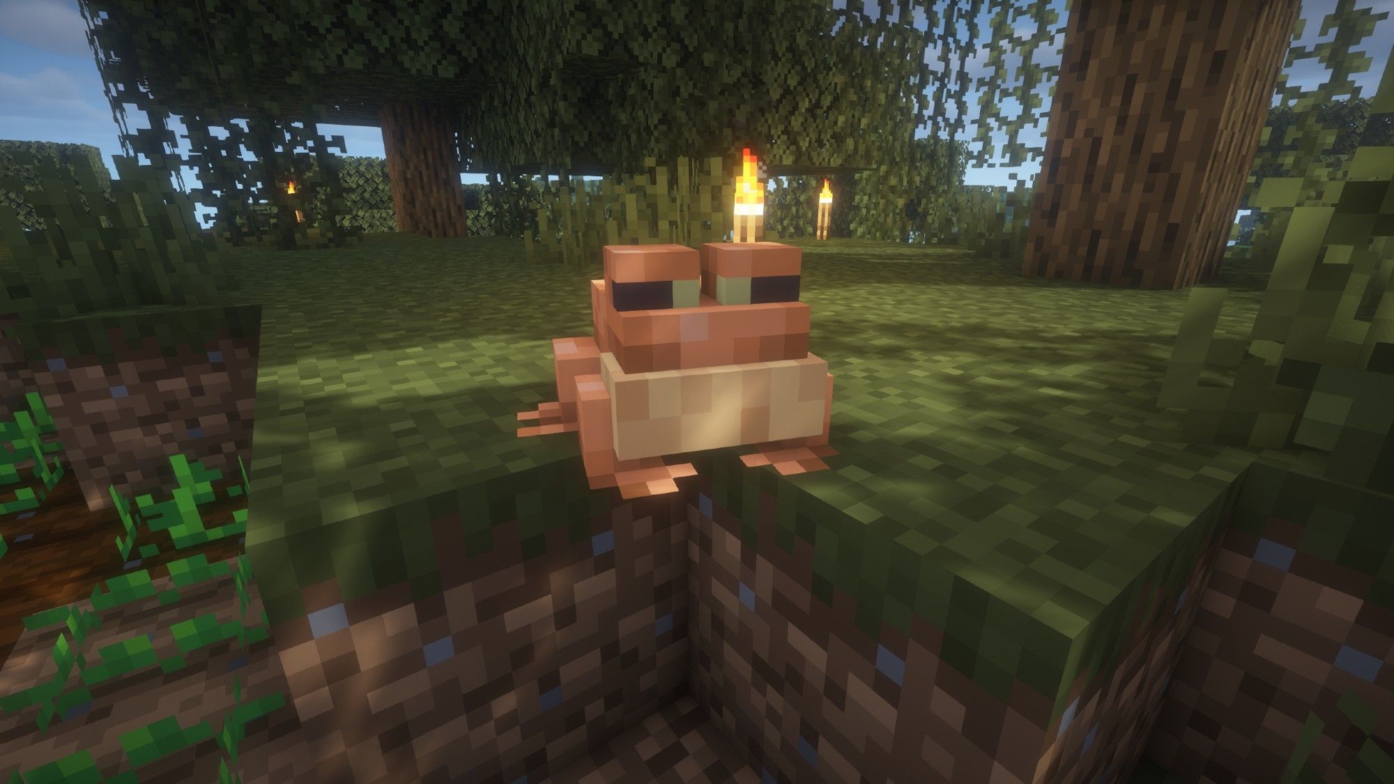 Screenshot aus dem Spiel Minecraft:
Blick auf einen braunen Frosch, der auf dem Boden sitzt