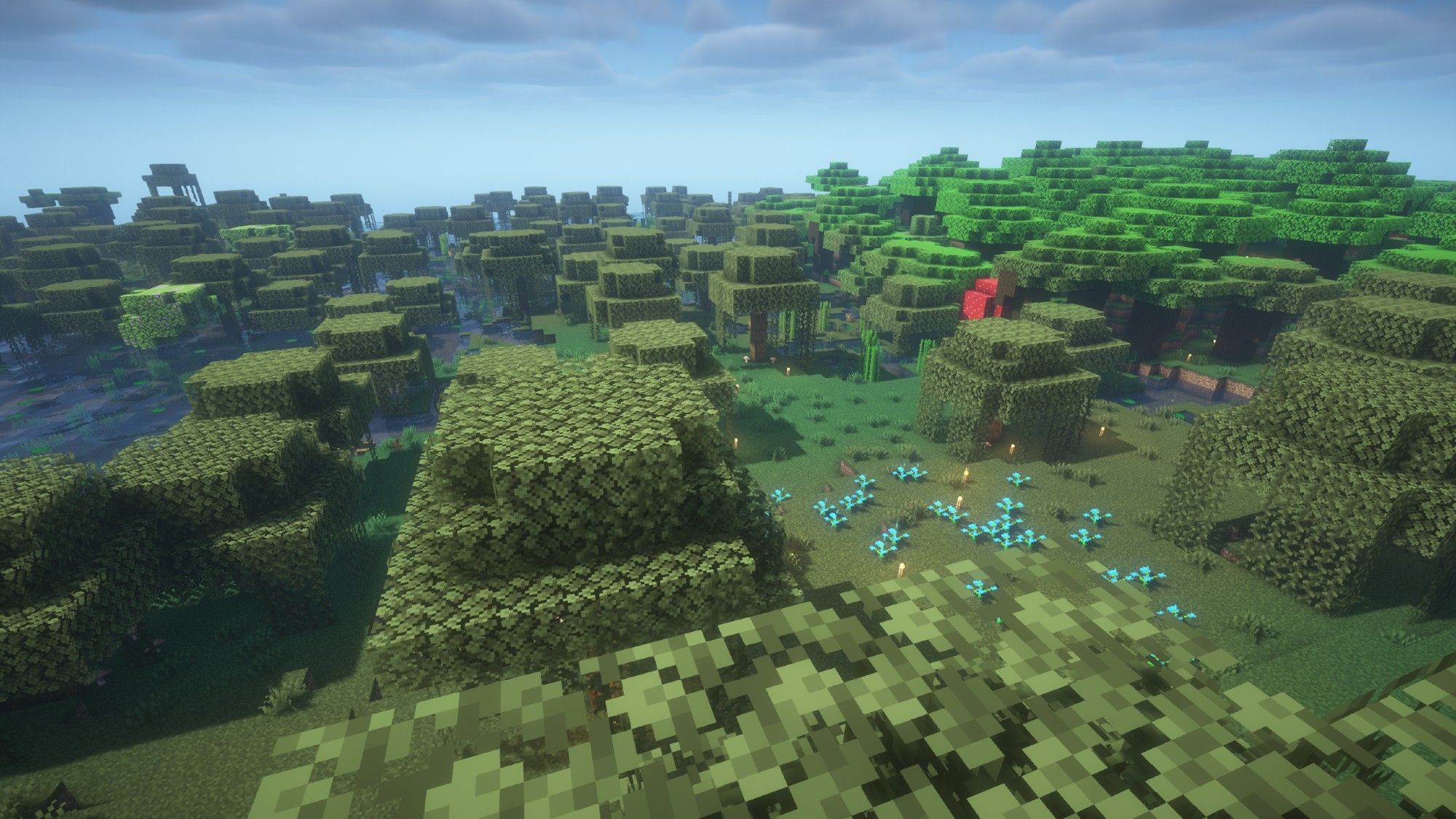 Screenshot aus dem Spiel Minecraft:
Blick auf einen Sumpf mit diversen Gewässern, Seerosen, Bäumen und blue Orchids und vielen Fackeln, die auf dem Boden stehen. Im Hintergrund sieht man einen Dark Forest mit Dark Oaks und einem roten Riesenpilz