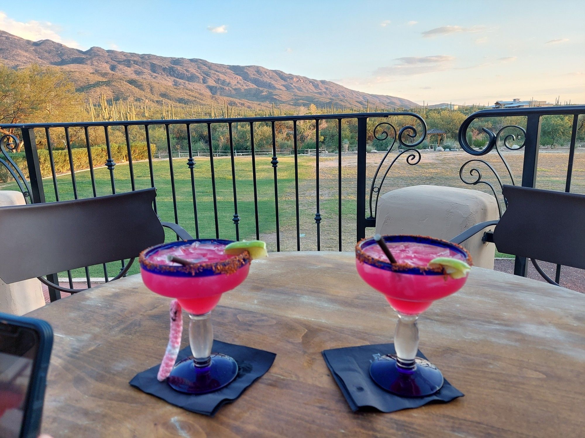 Two pink prickly pear margaritas in blue-rimmed cocktail glasses with a view of cactus and mountains in the background