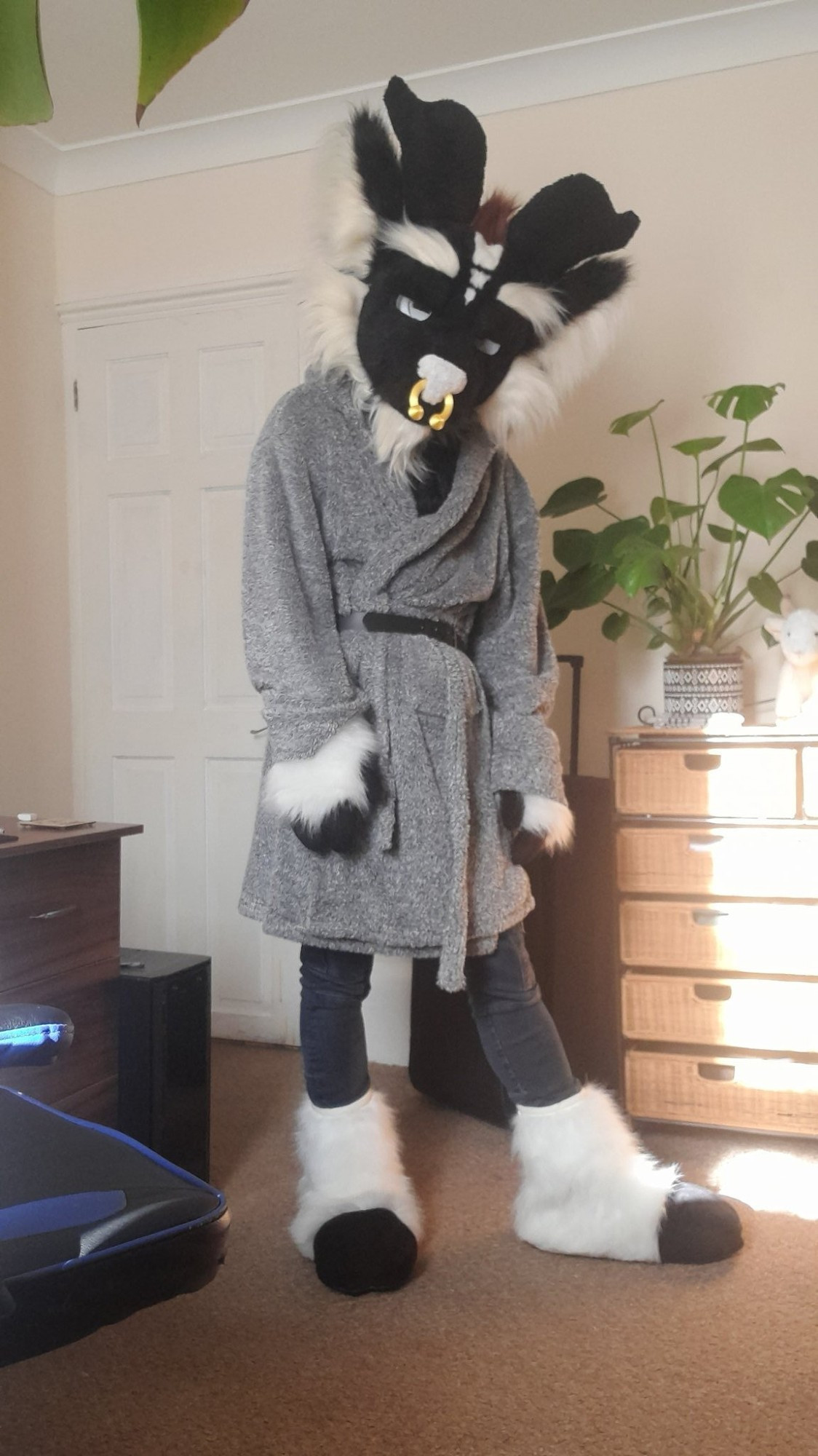 wearing all parts of my fursuit of my oc Sigil