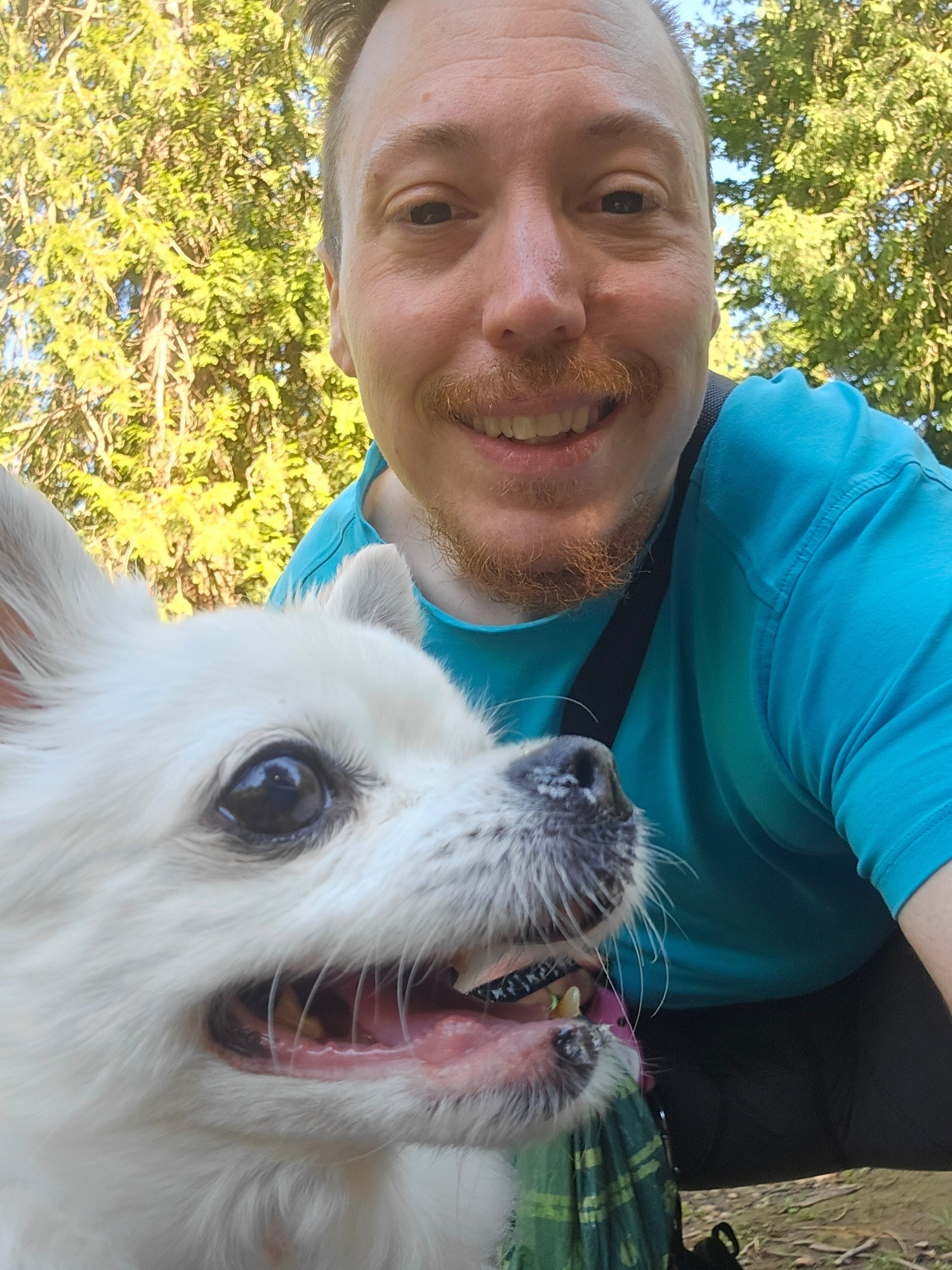Chihuahua and human in nature