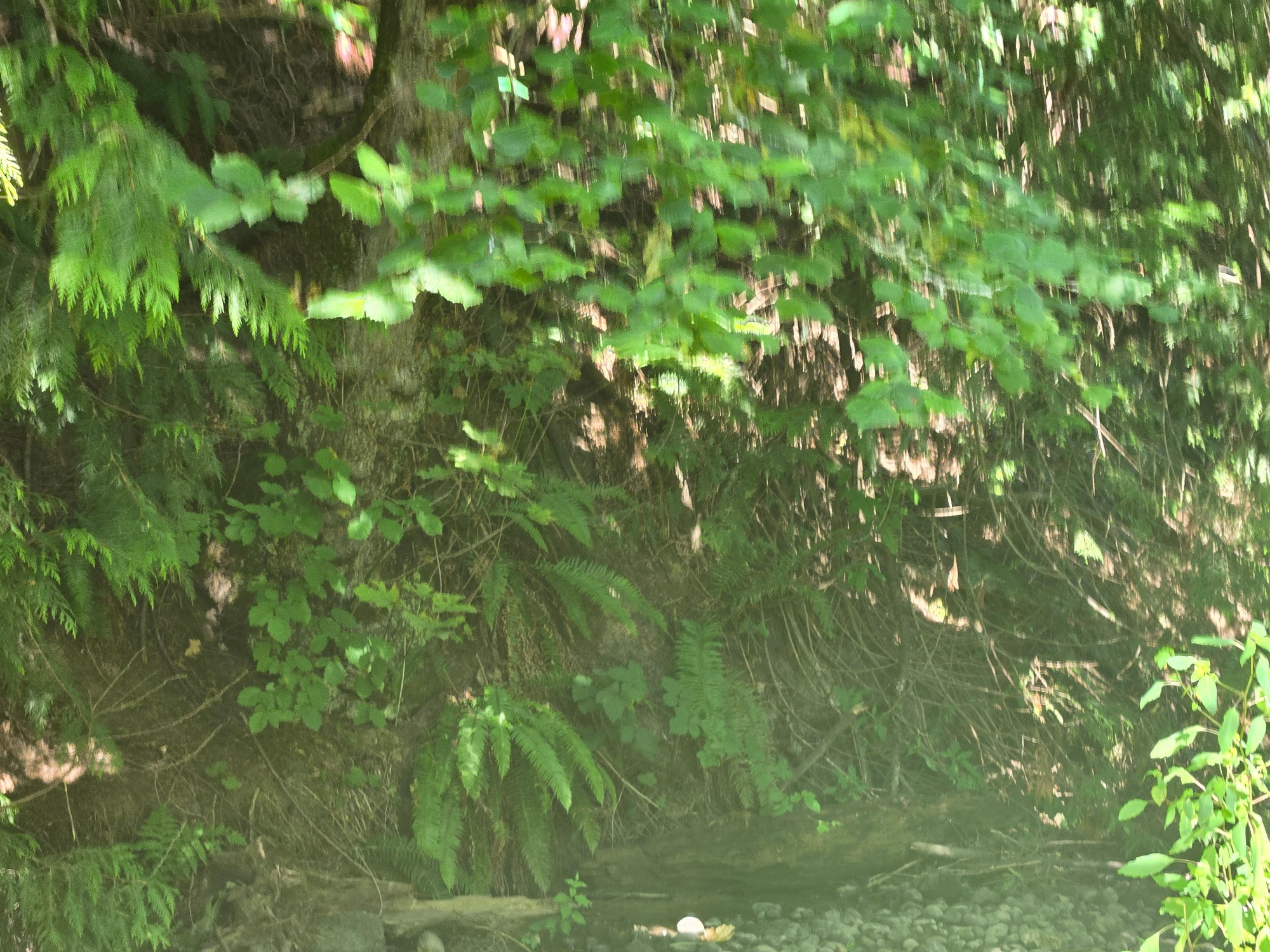 So green