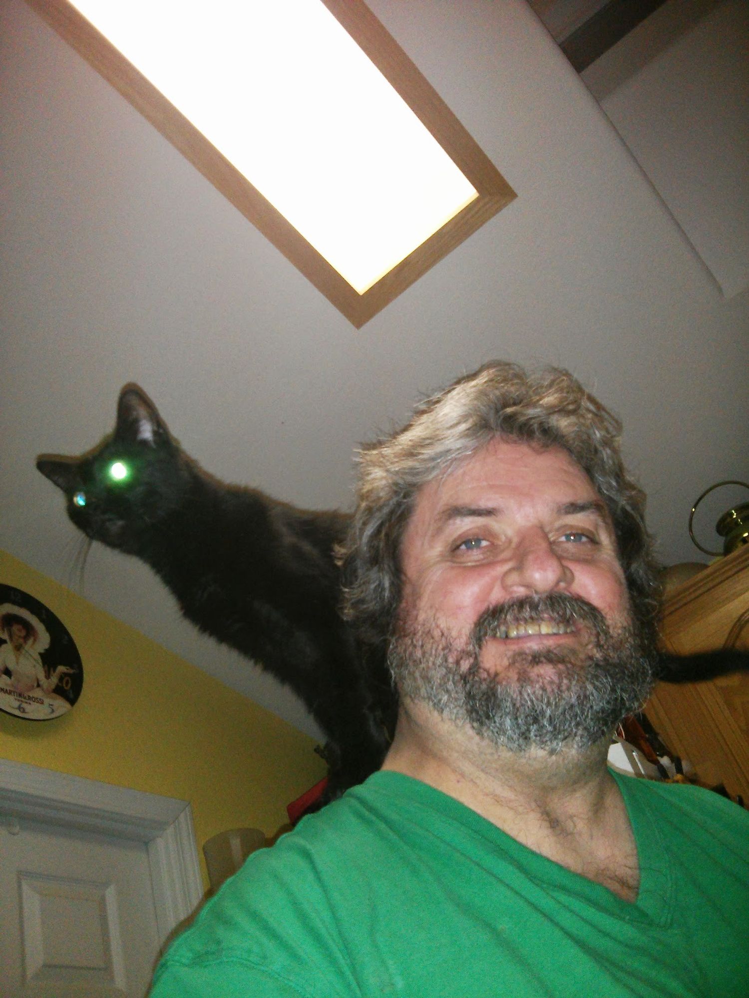 Cat riding on shoulders. Cat has glowing eyes and is trying to calculate a jump to the upper cabinet.